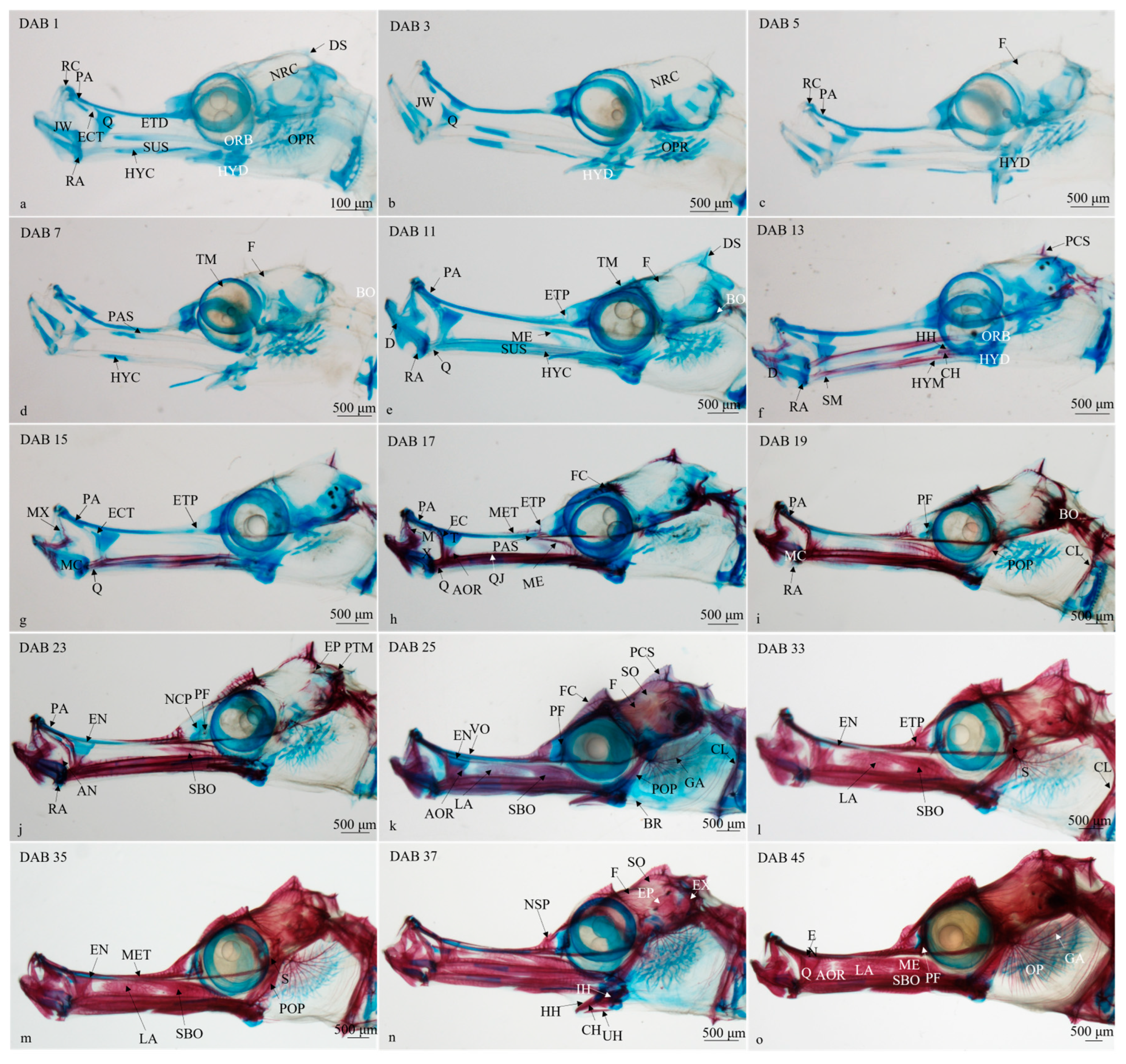 Fishes 08 00604 g002