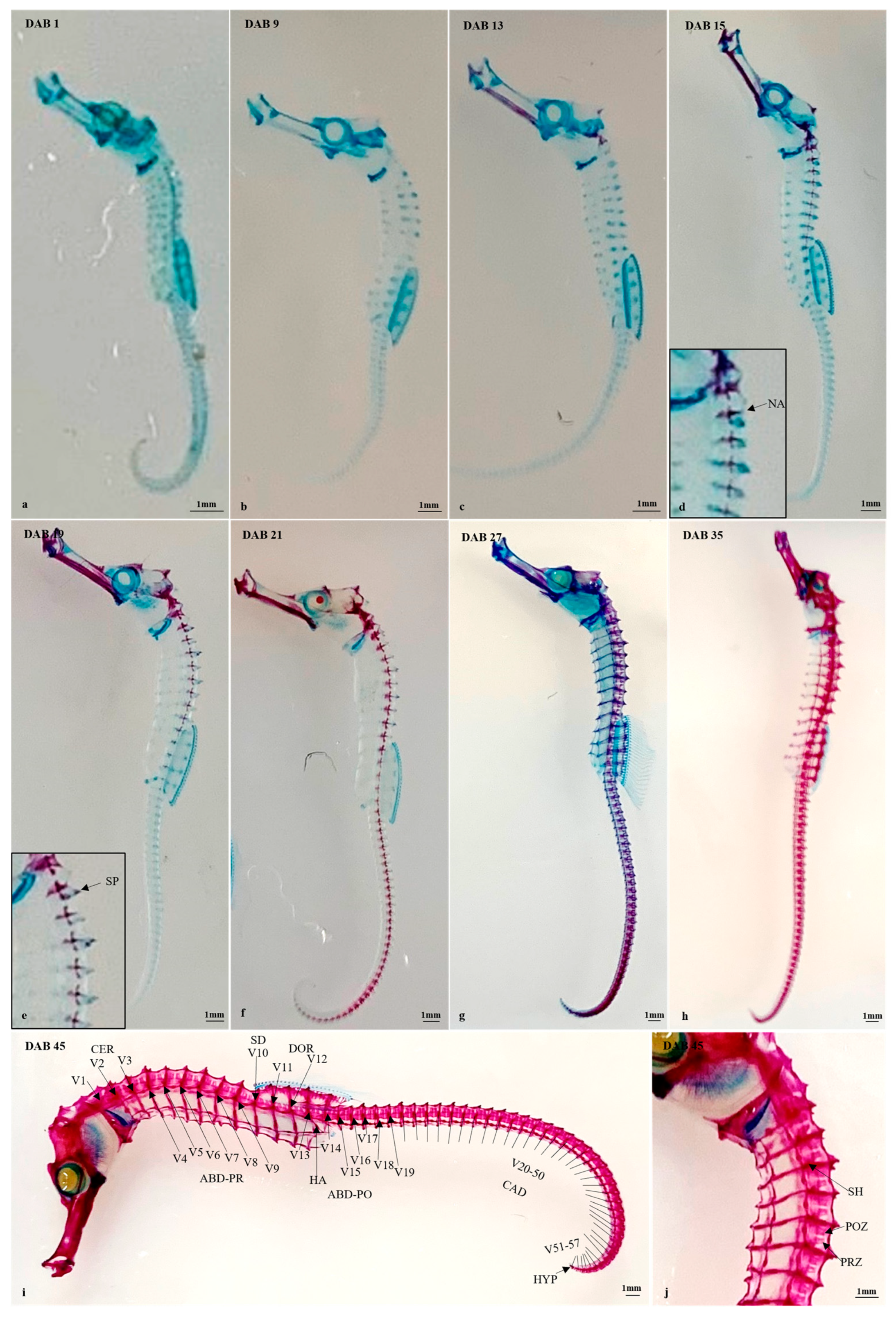Fishes 08 00604 g004