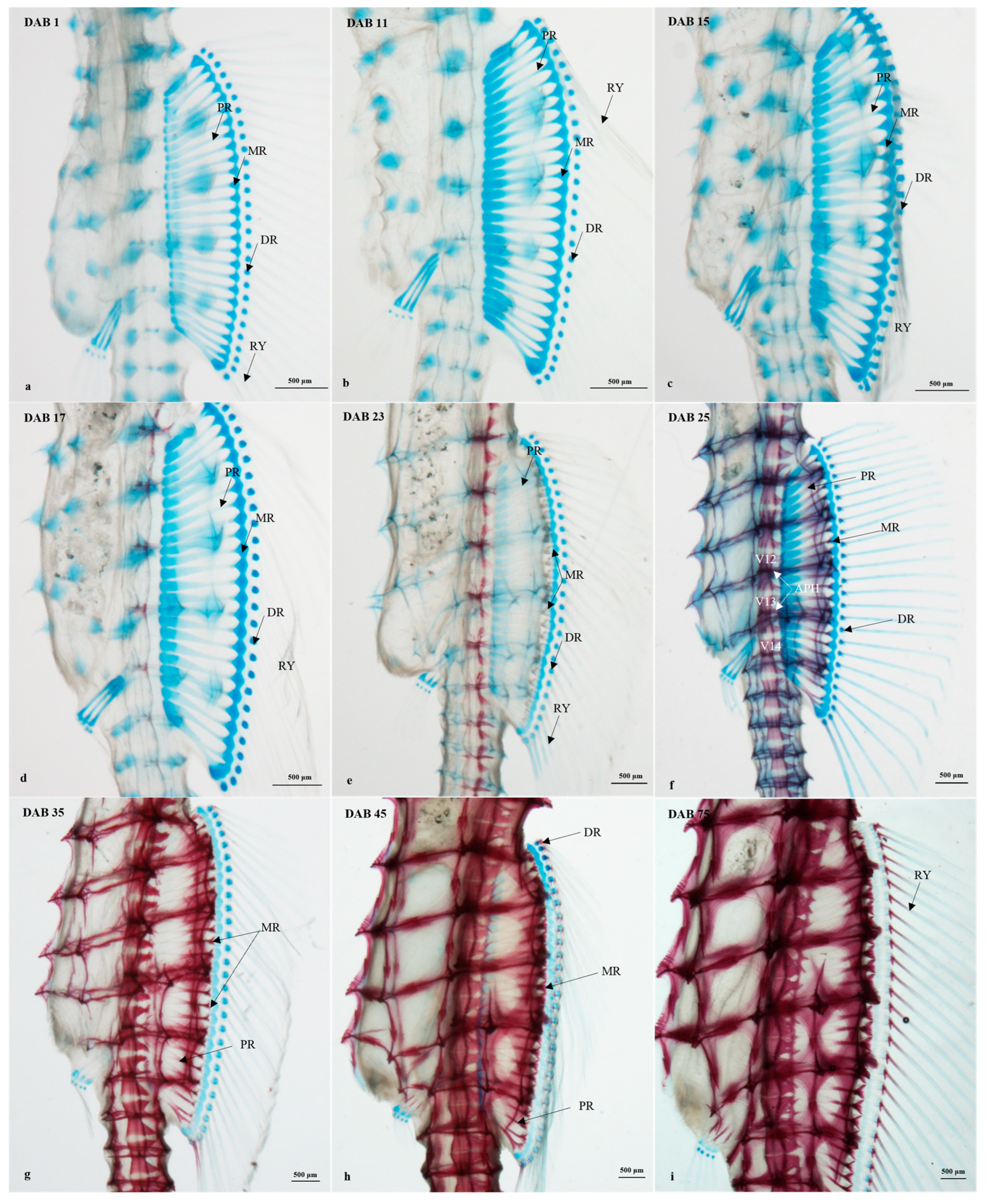 Fishes 08 00604 g005