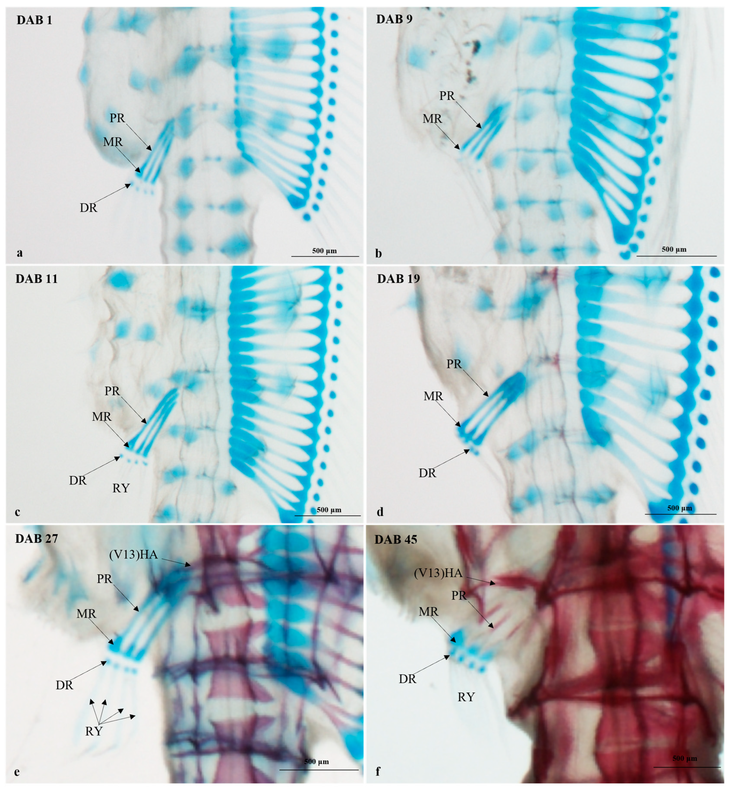 Fishes 08 00604 g006