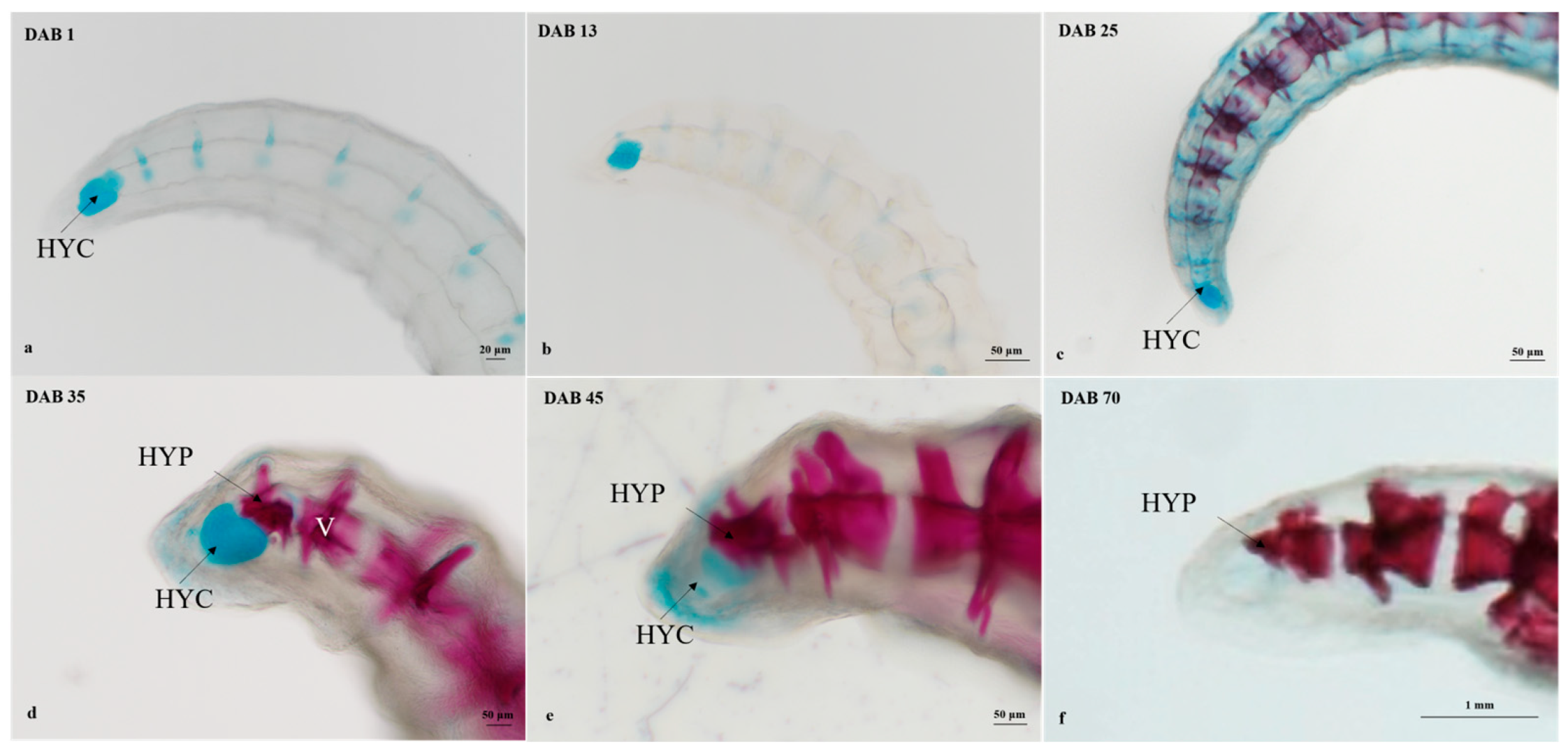 Fishes 08 00604 g007