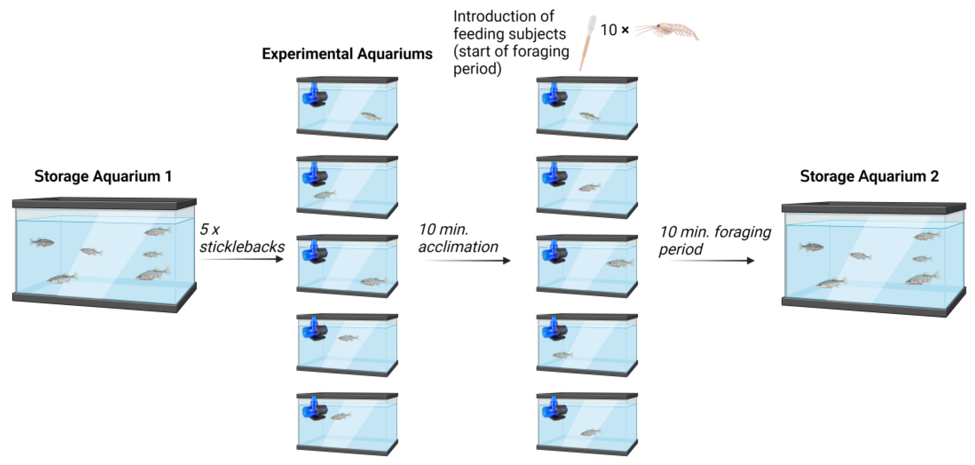 Fishes 08 00609 g003 Fishes 08 00609 g003