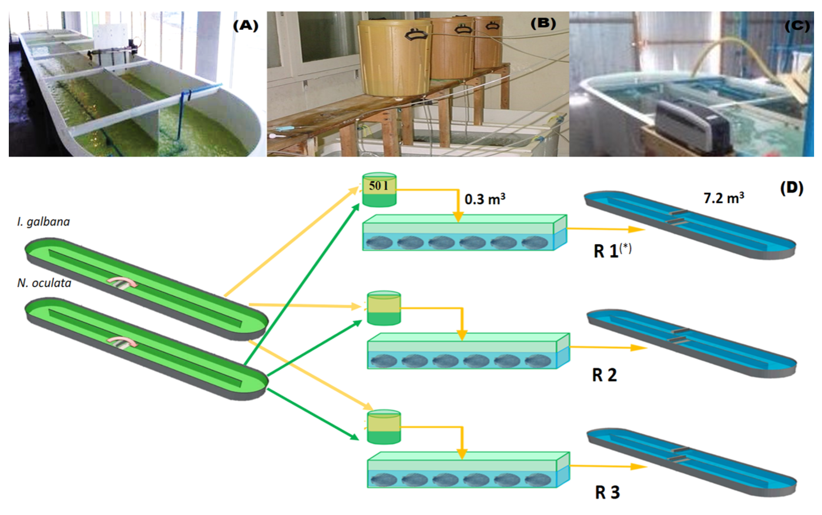 Fishes 09 00009 g005