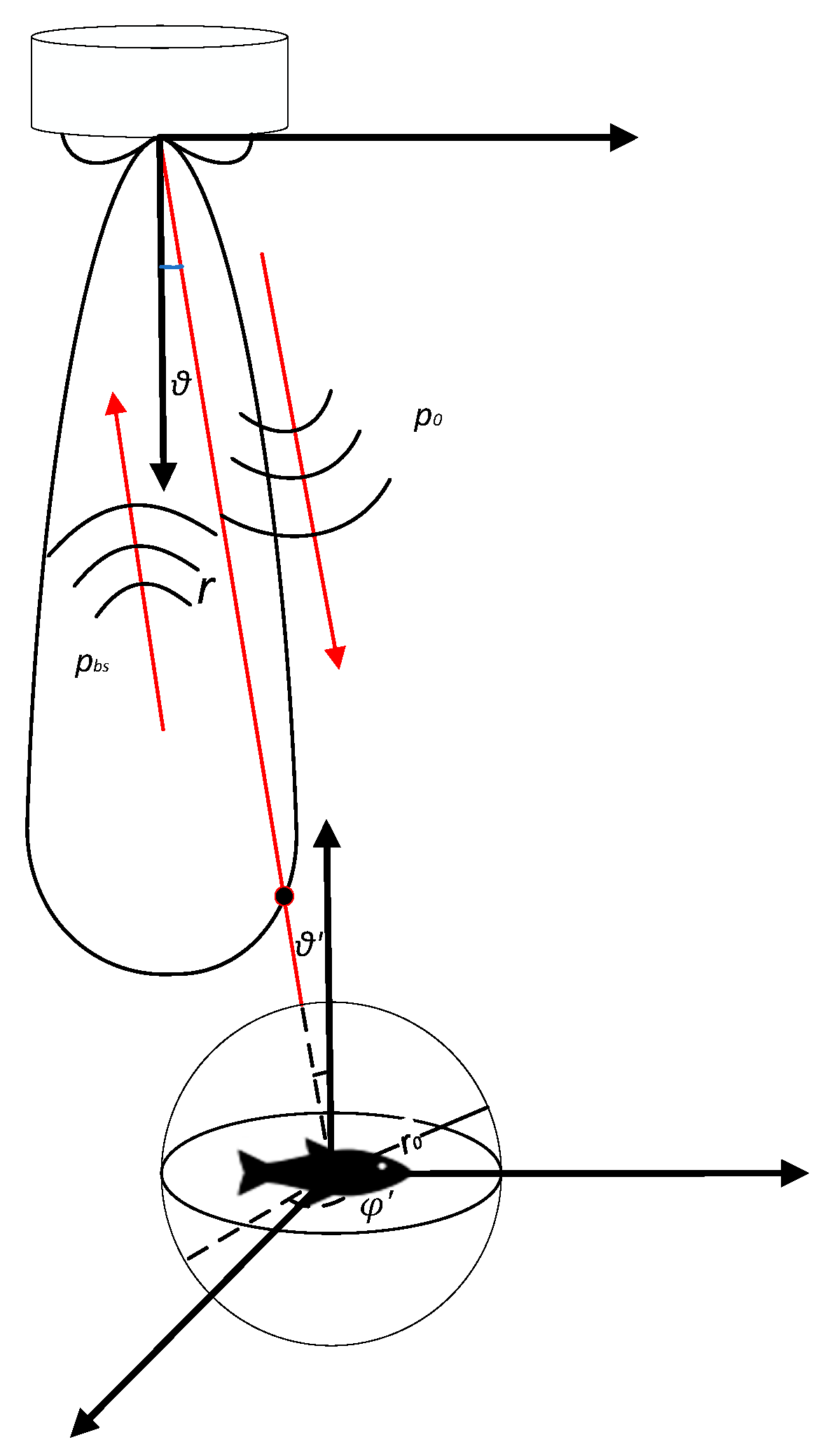 Fishes 09 00012 g001 Fishes 09 00012 g001