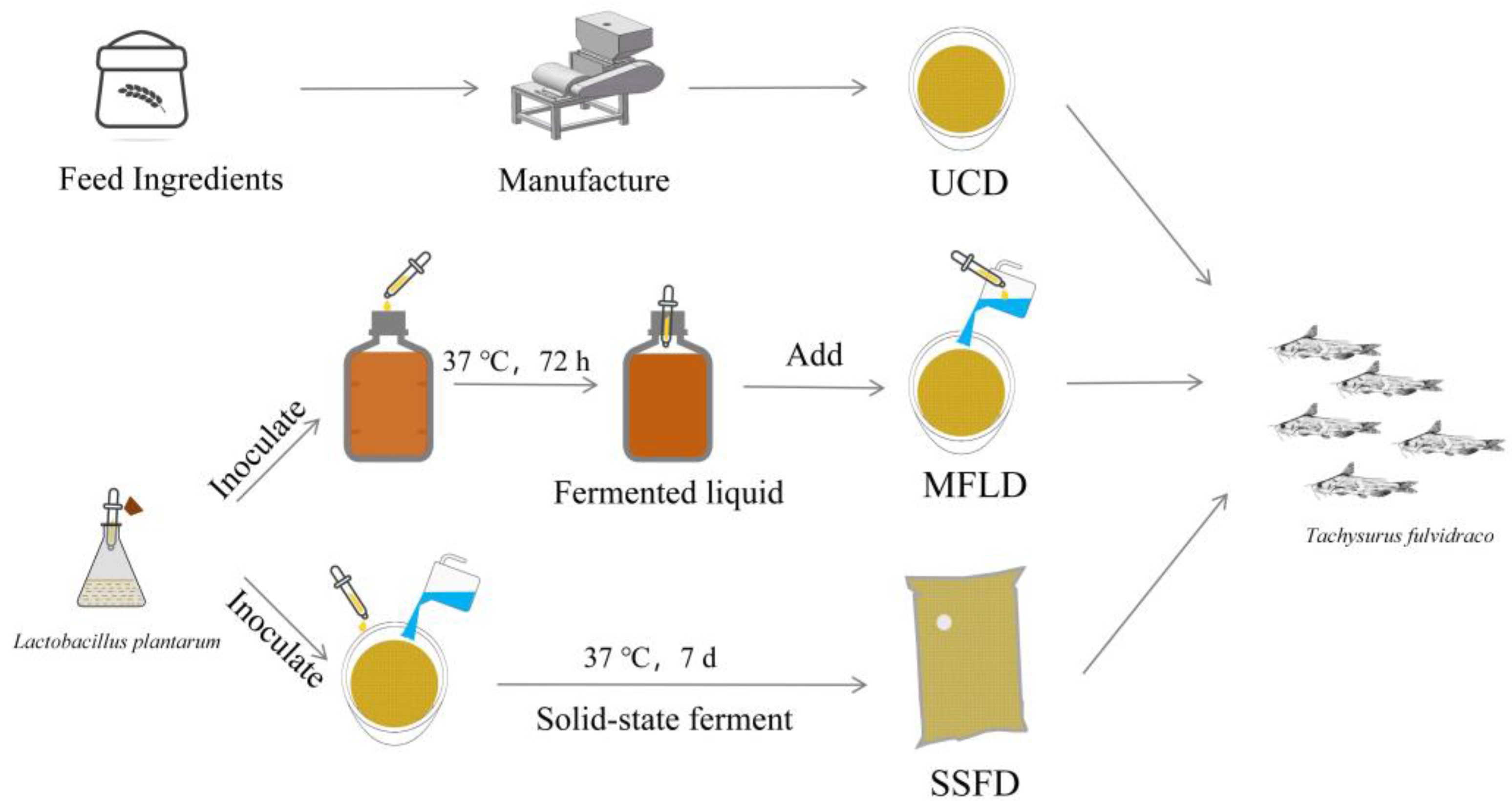 Fishes 09 00018 g001