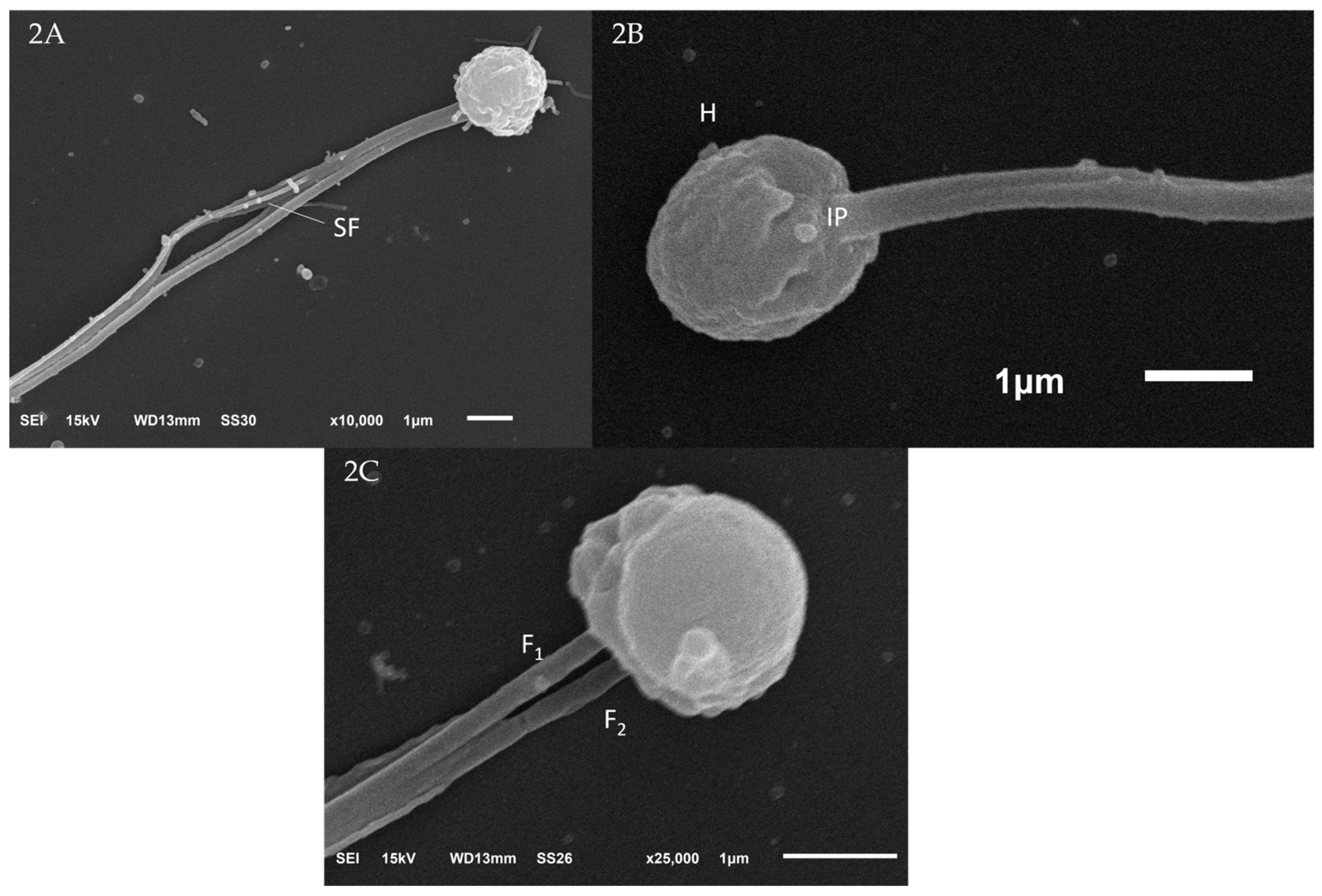 Fishes 09 00024 g002