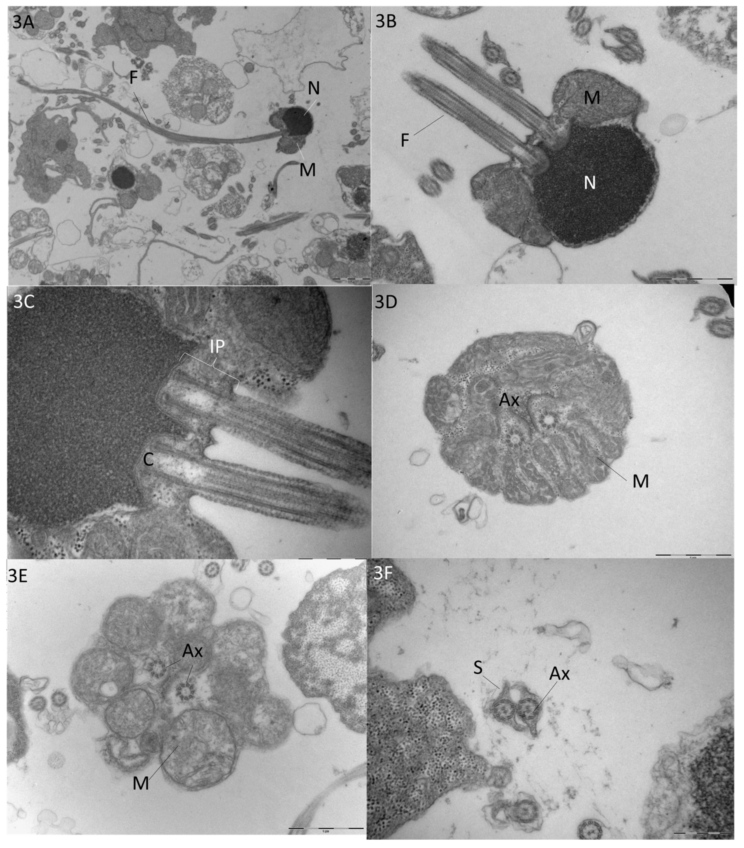 Fishes 09 00024 g003