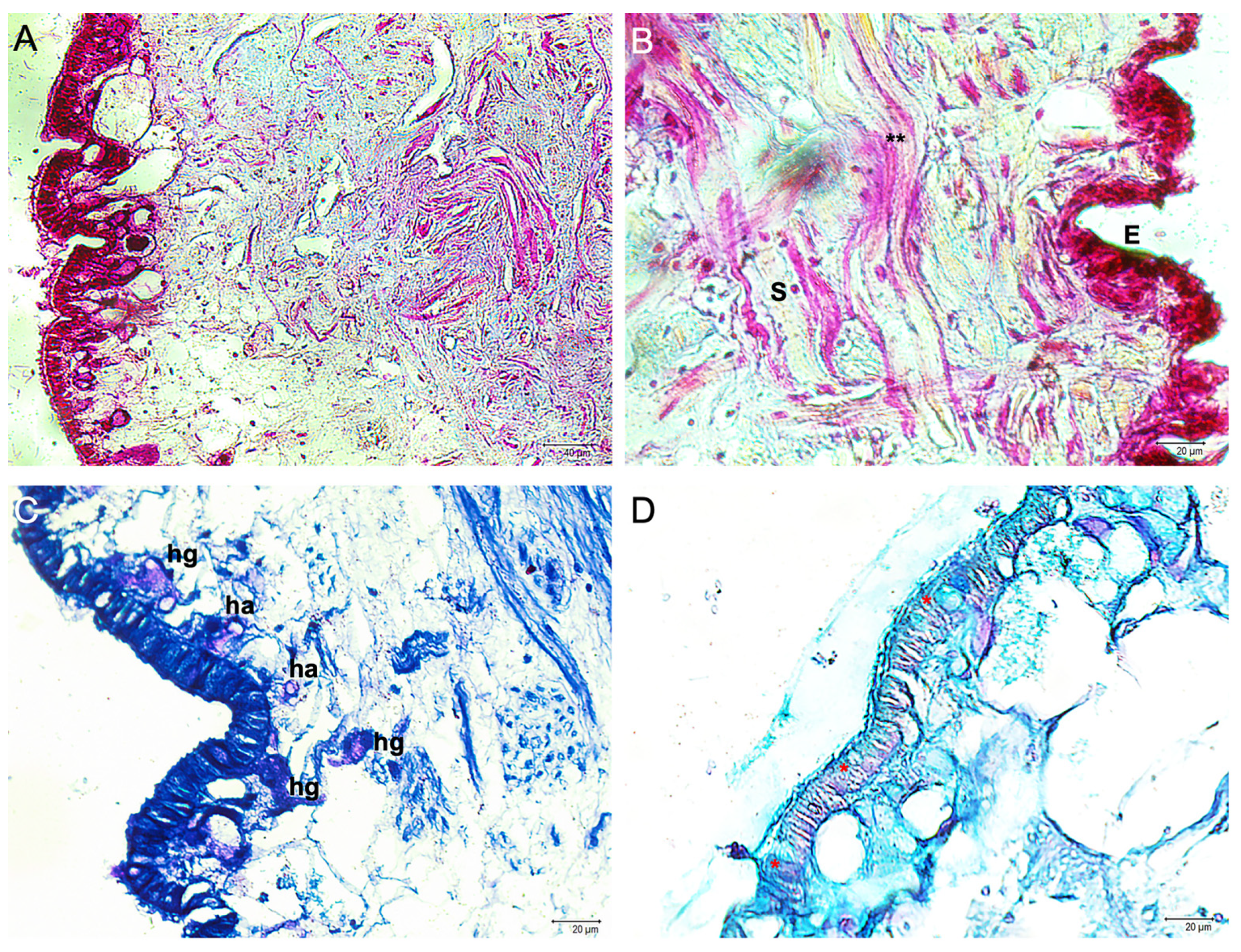 Fishes 09 00032 g001