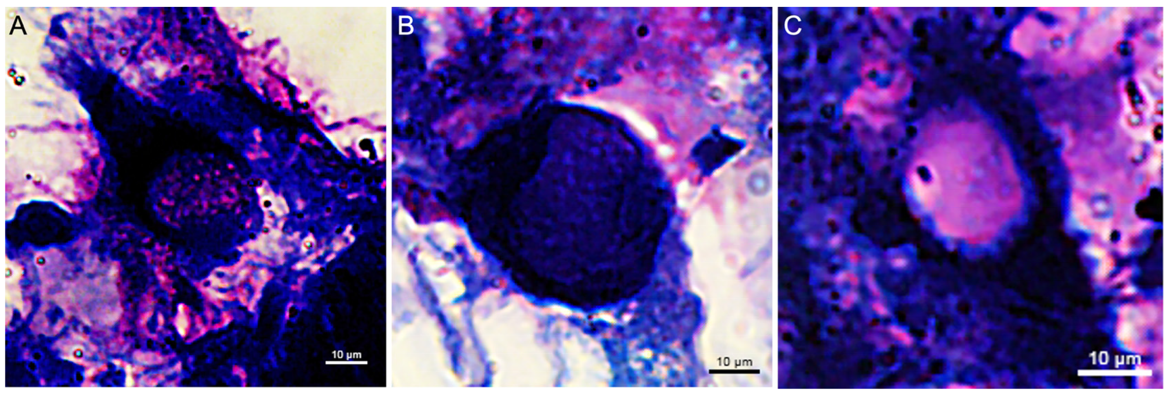 Fishes 09 00032 g002