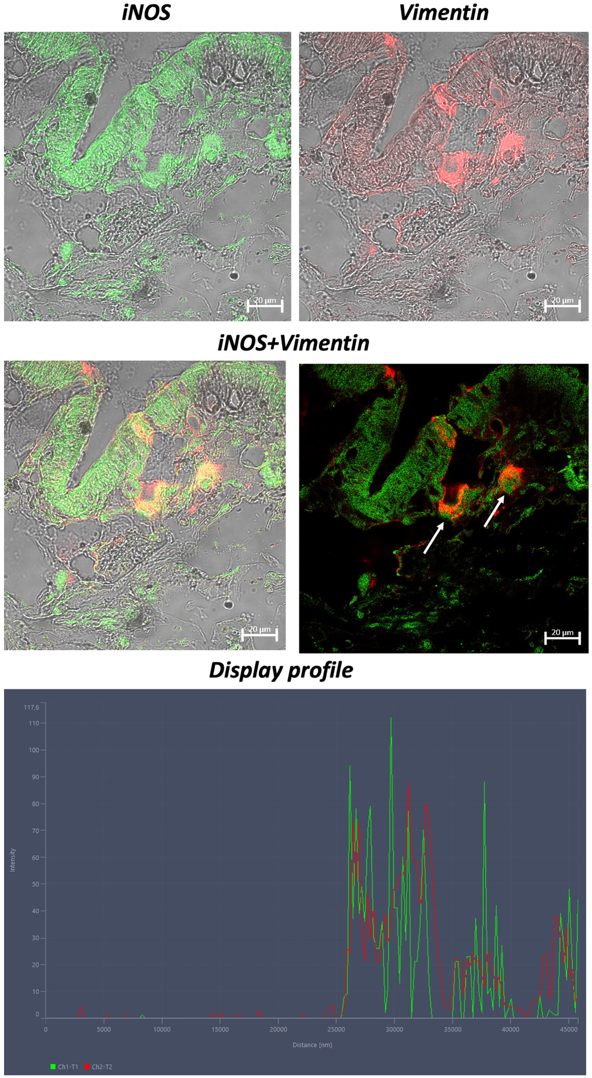 Fishes 09 00032 g004