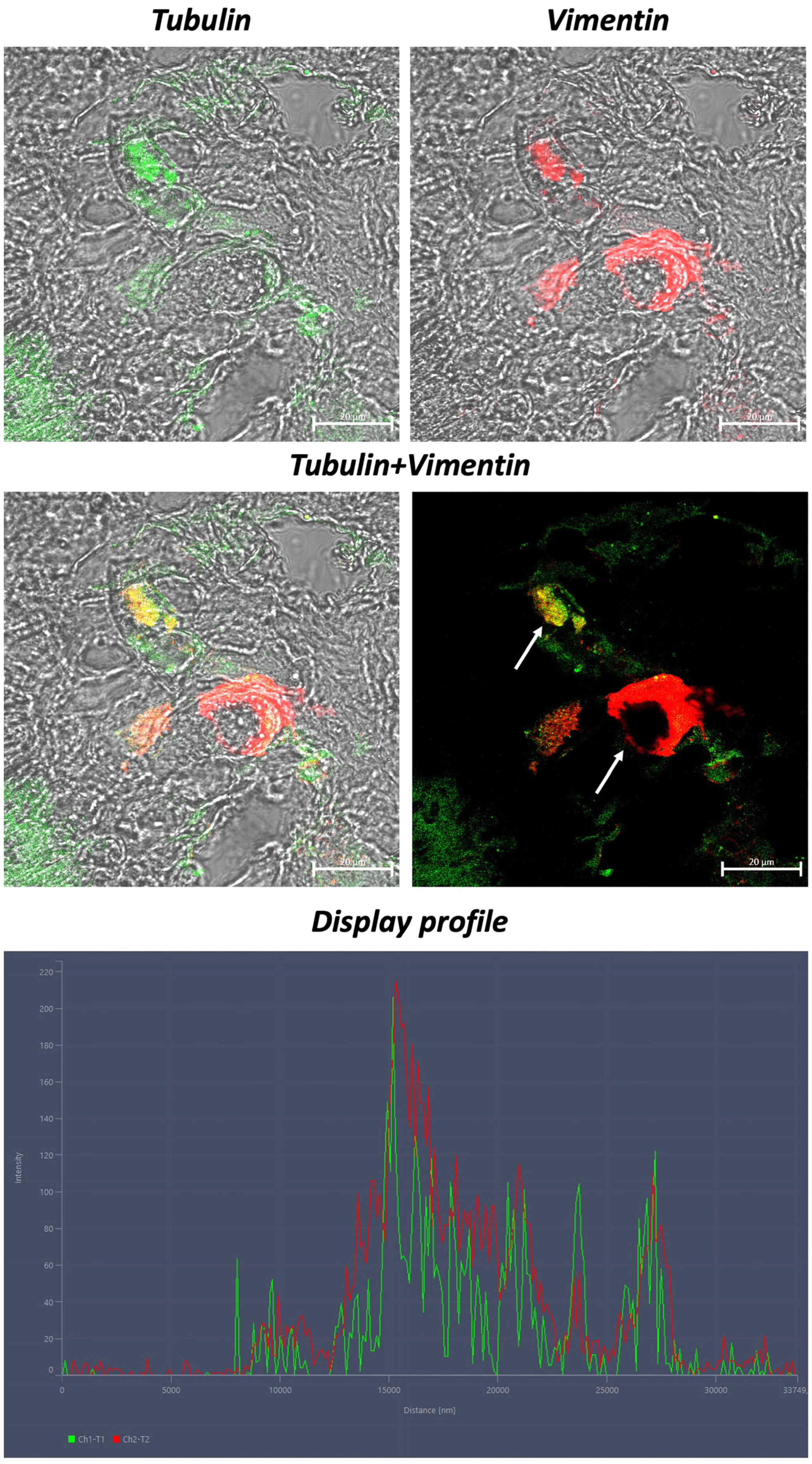 Fishes 09 00032 g005