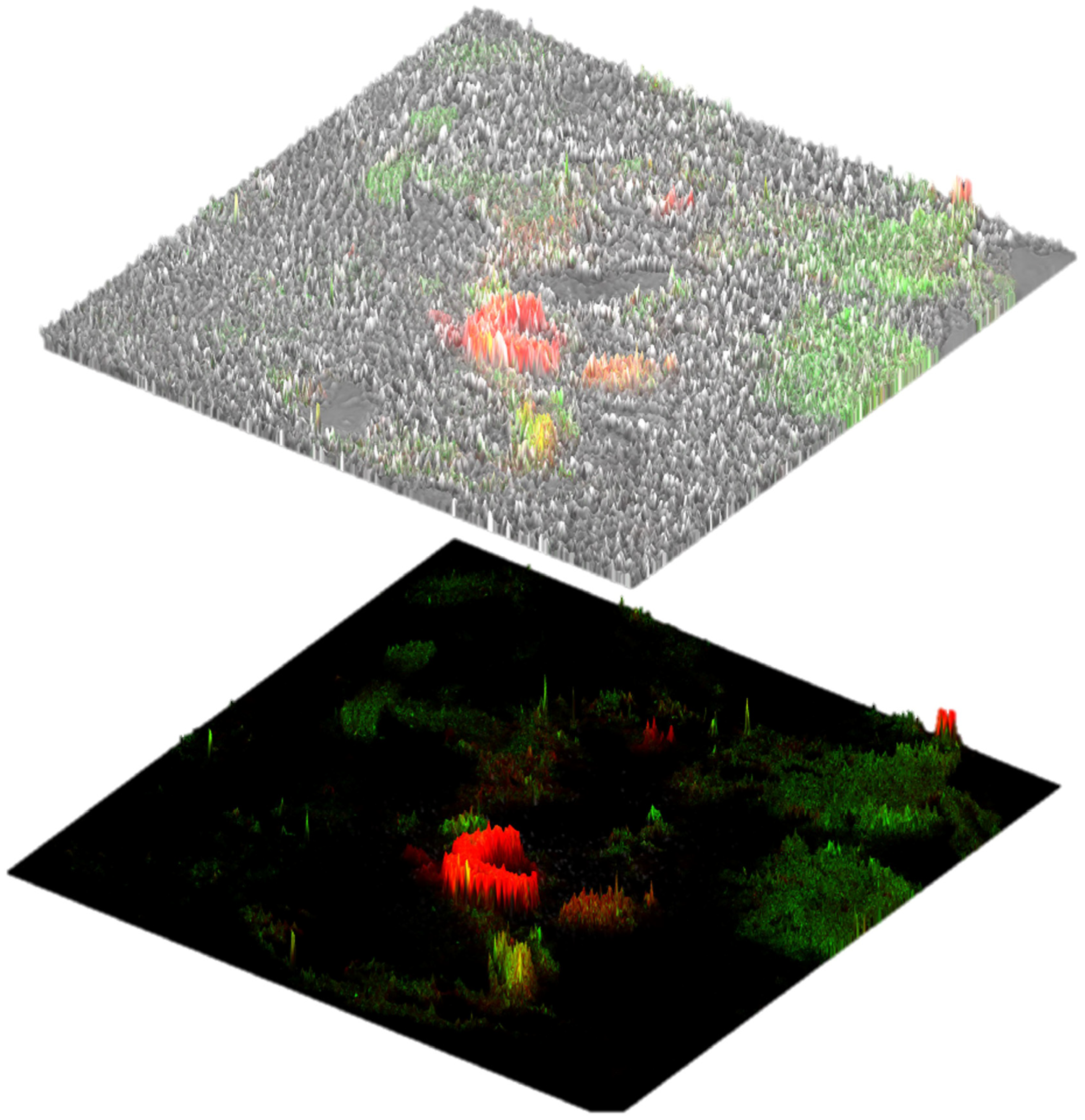 Fishes 09 00032 g006