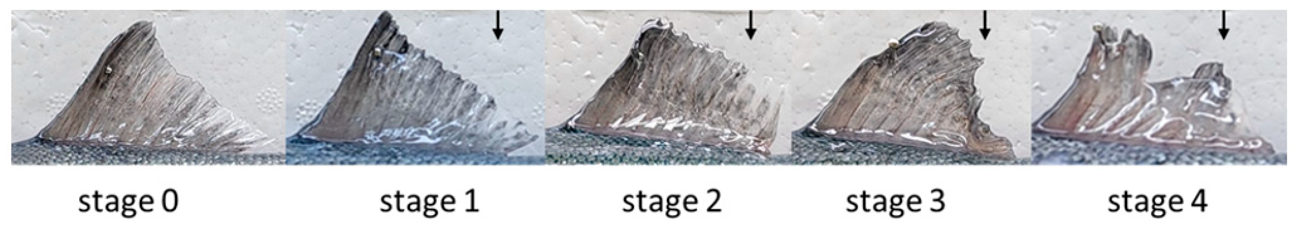 Fishes 09 00037 g001