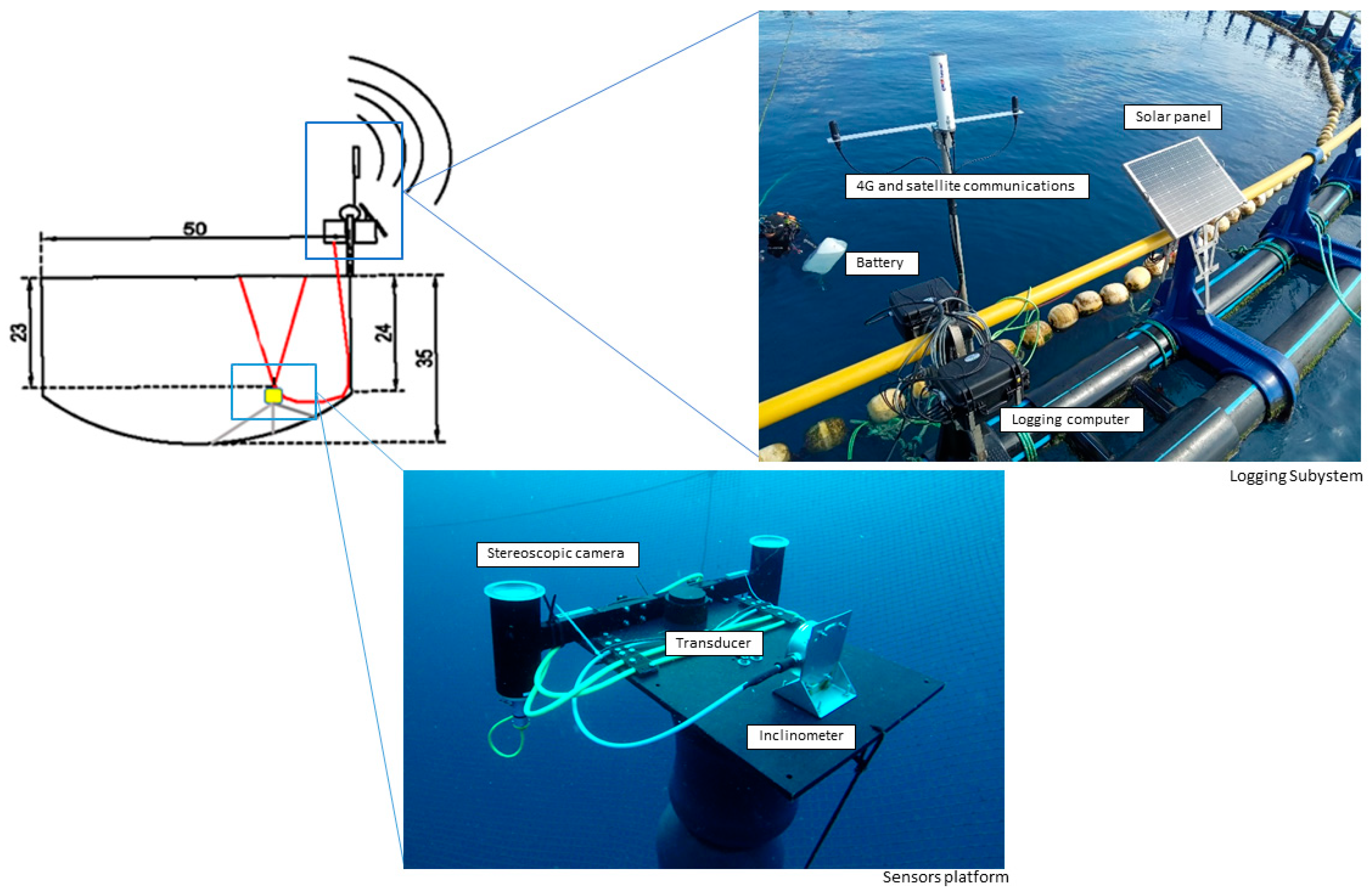 Fishes 09 00046 g001