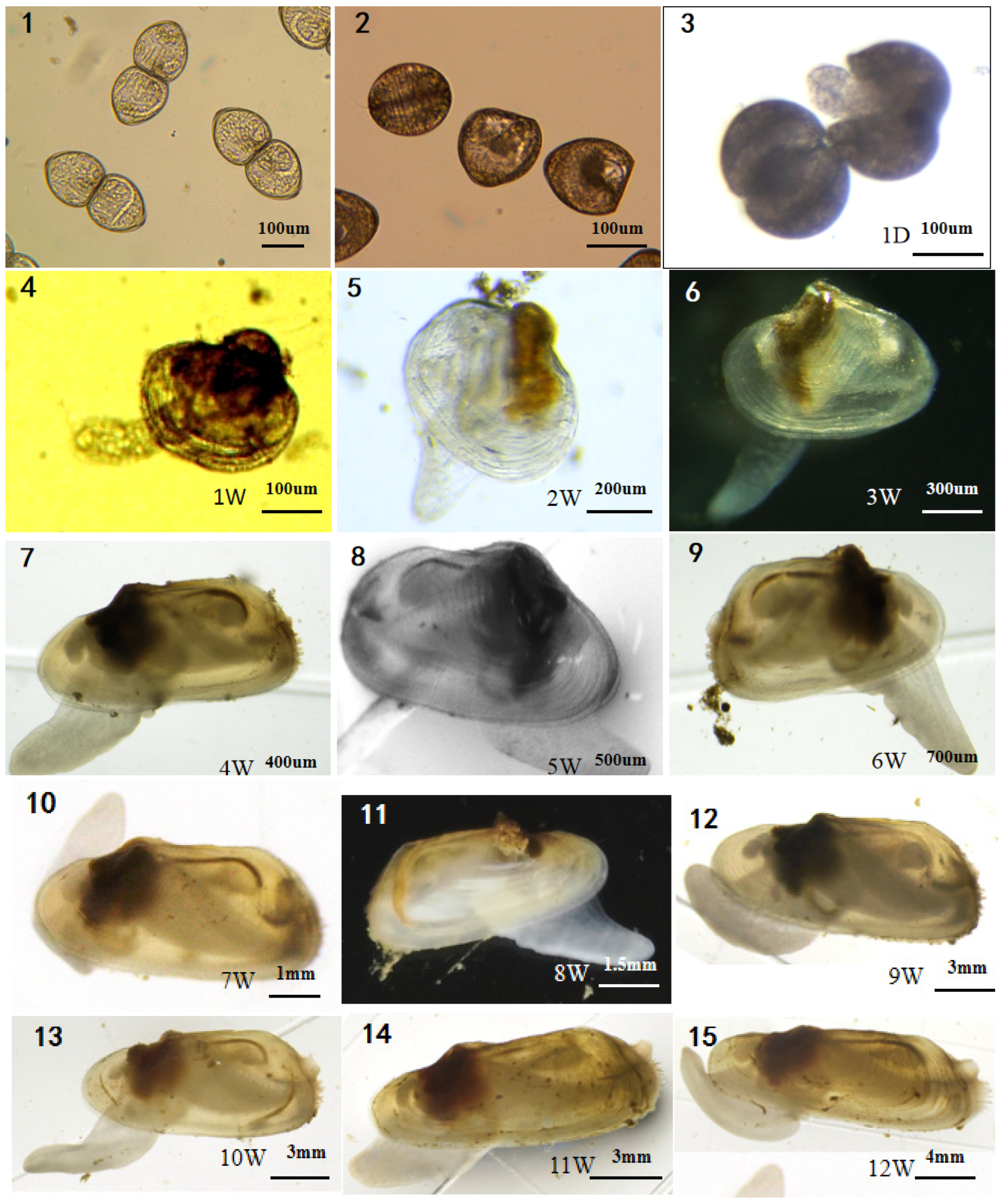 Fishes 09 00049 g004