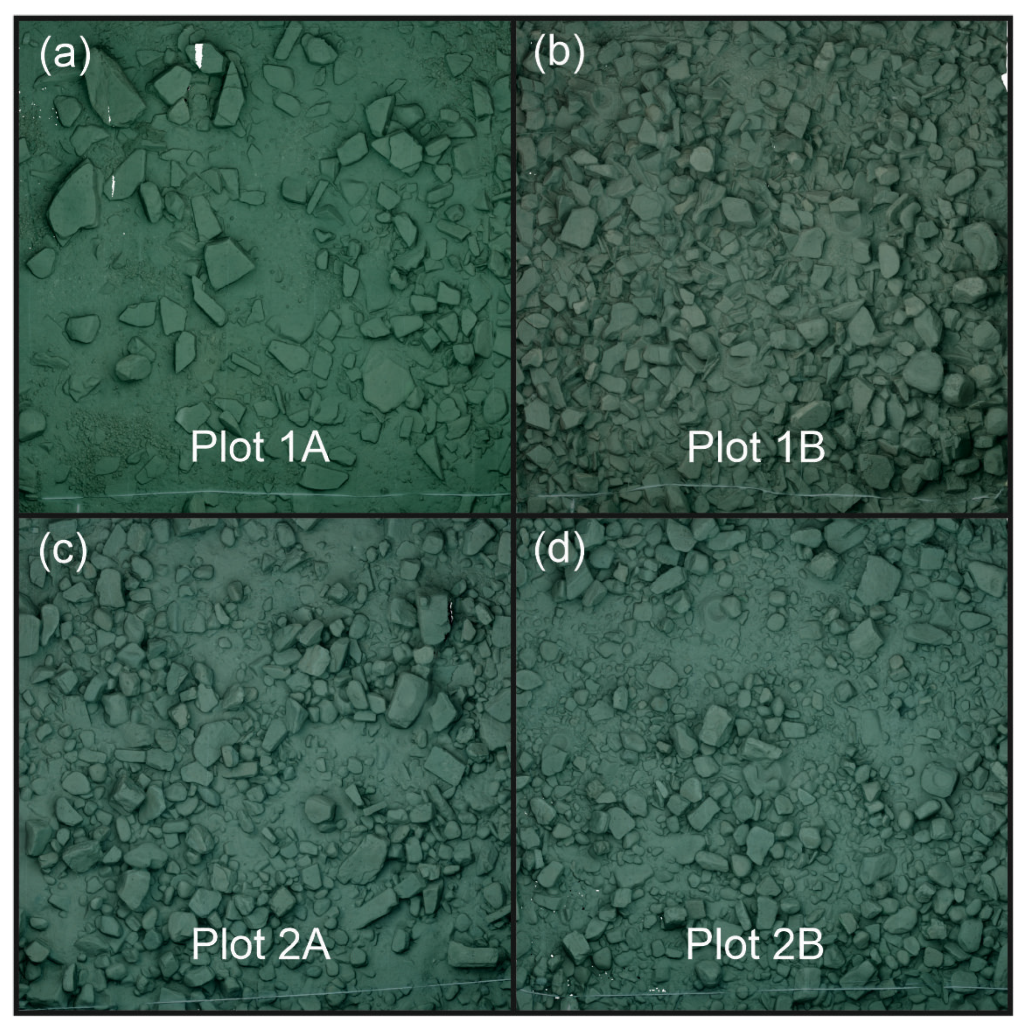 Fishes 09 00050 g001