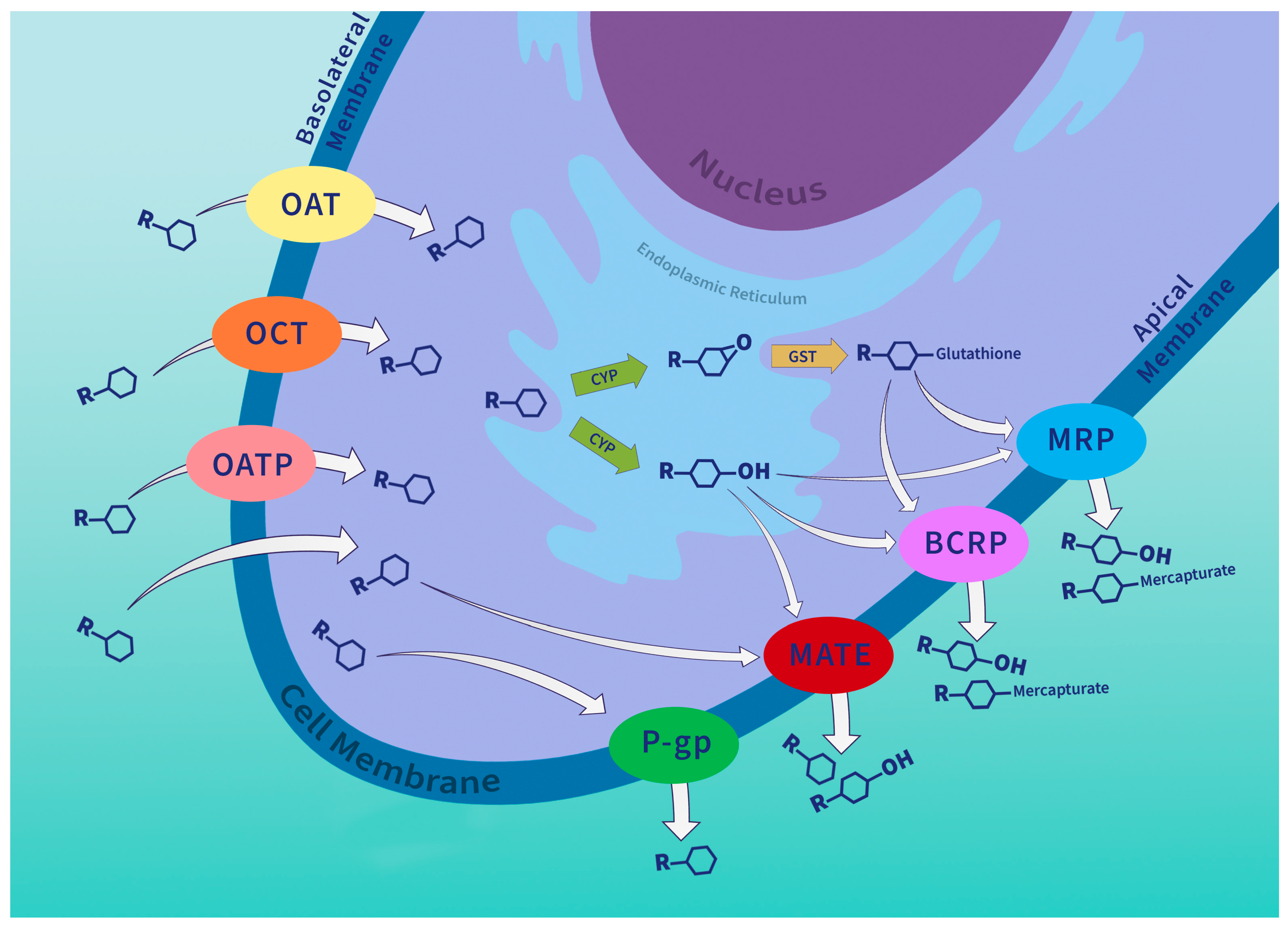 Fishes 09 00051 g001