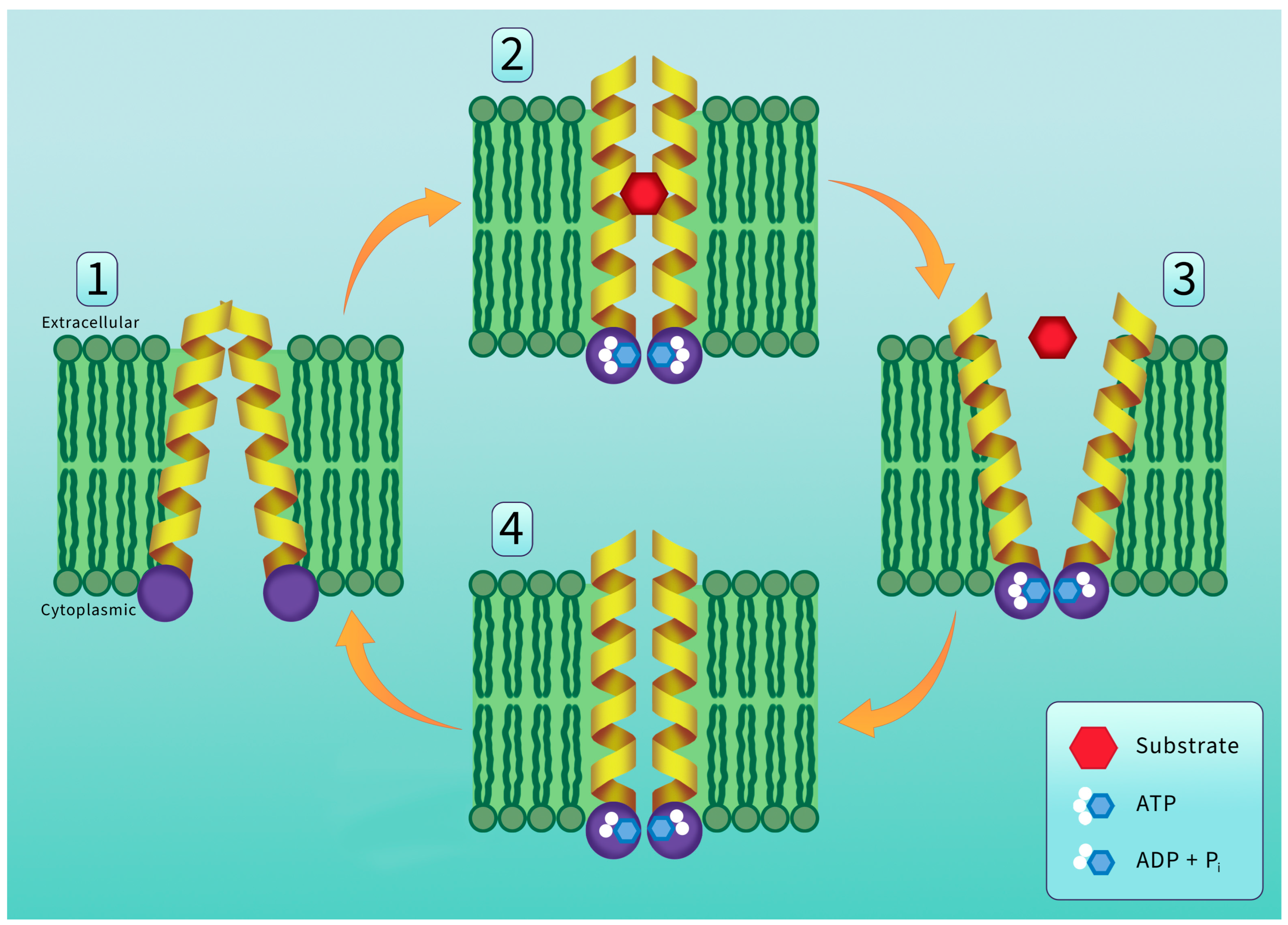 Fishes 09 00051 g003
