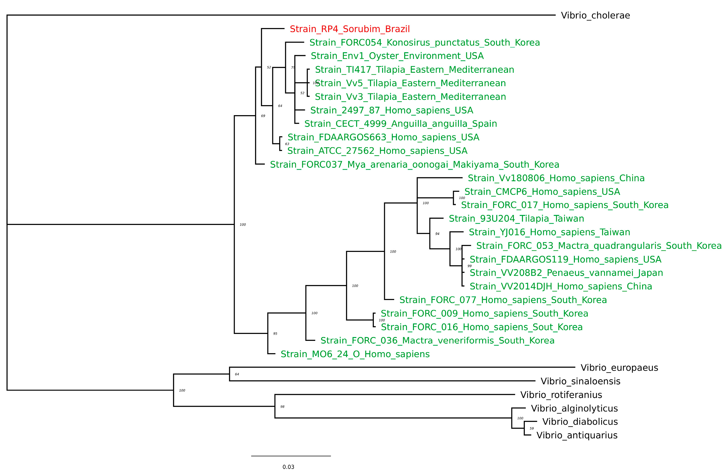 Fishes 09 00054 g001