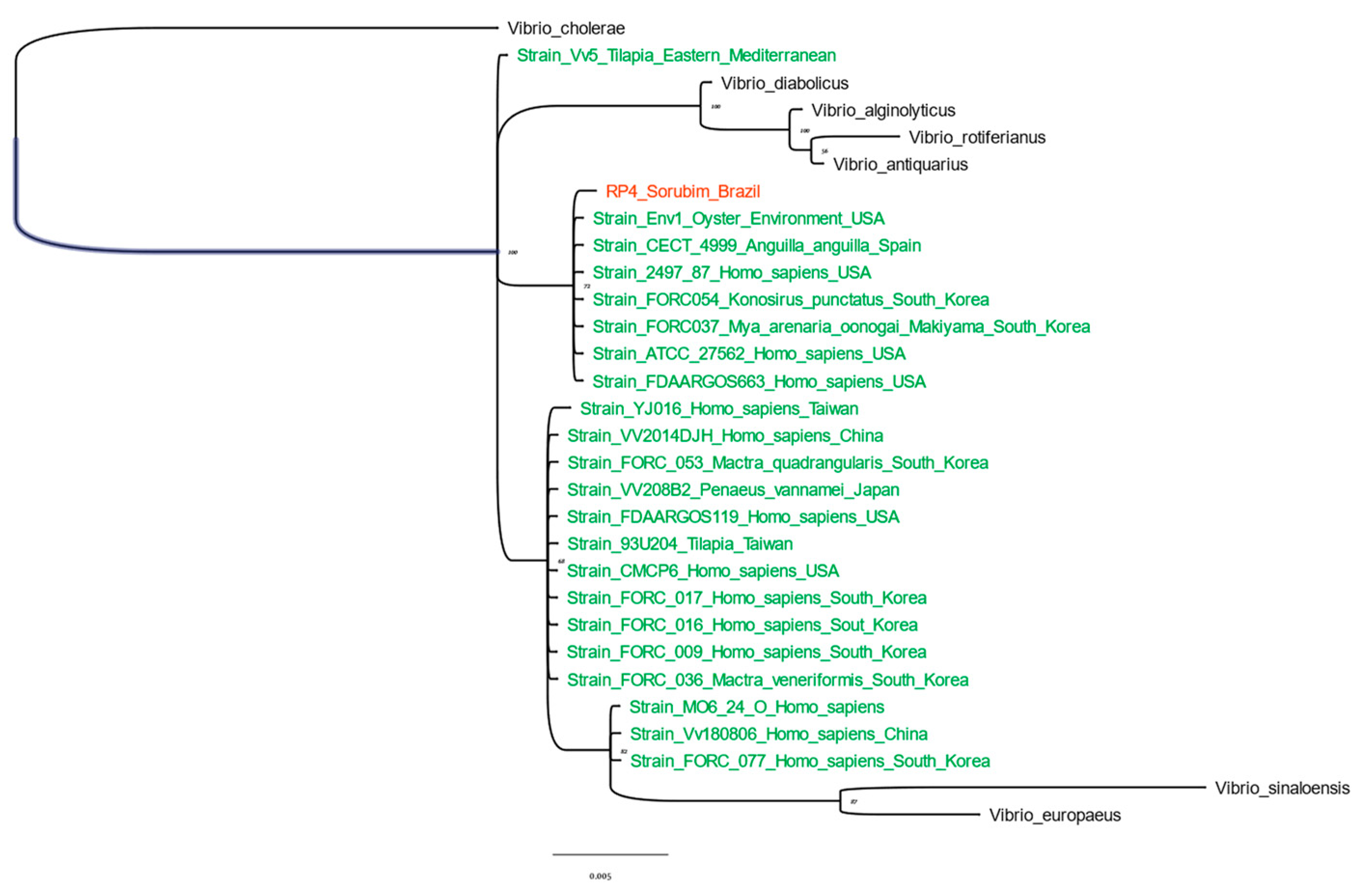 Fishes 09 00054 g002