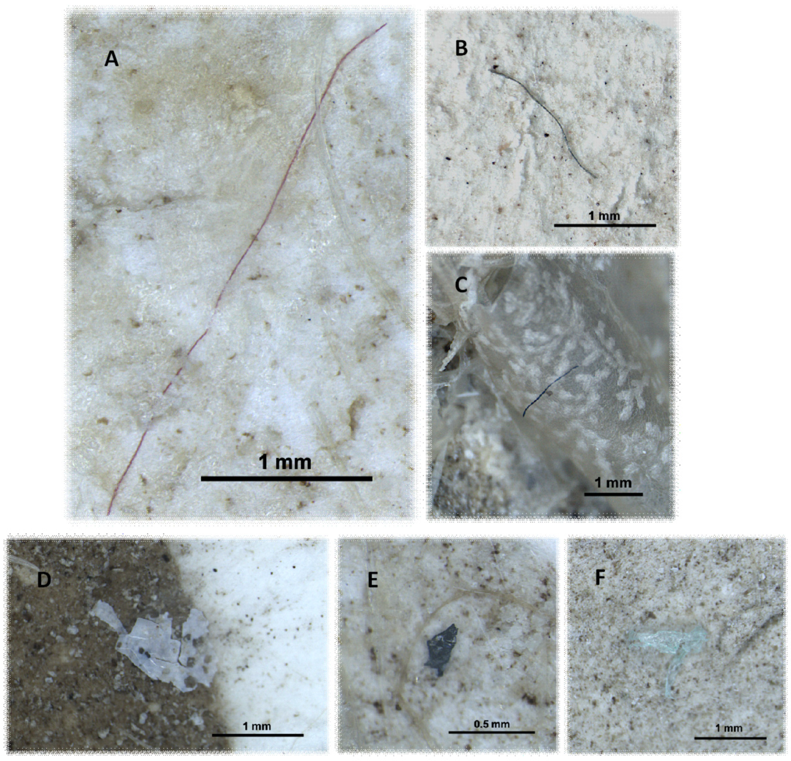 Fishes 09 00055 g002