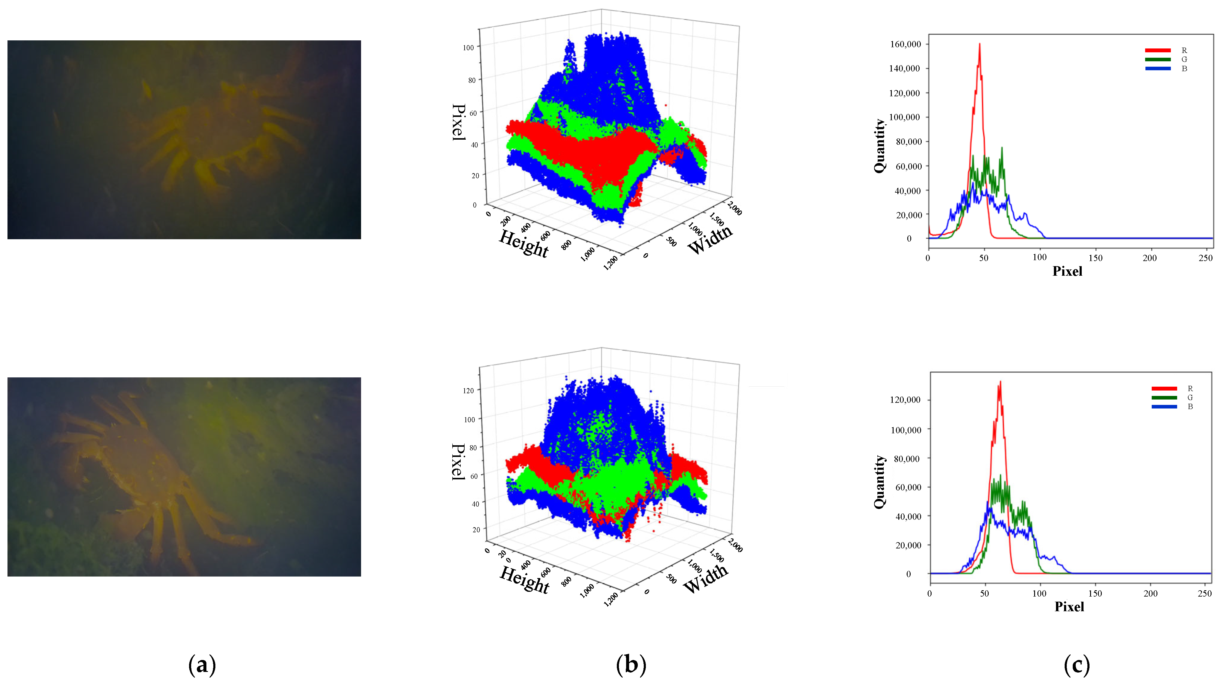 Fishes 09 00060 g001