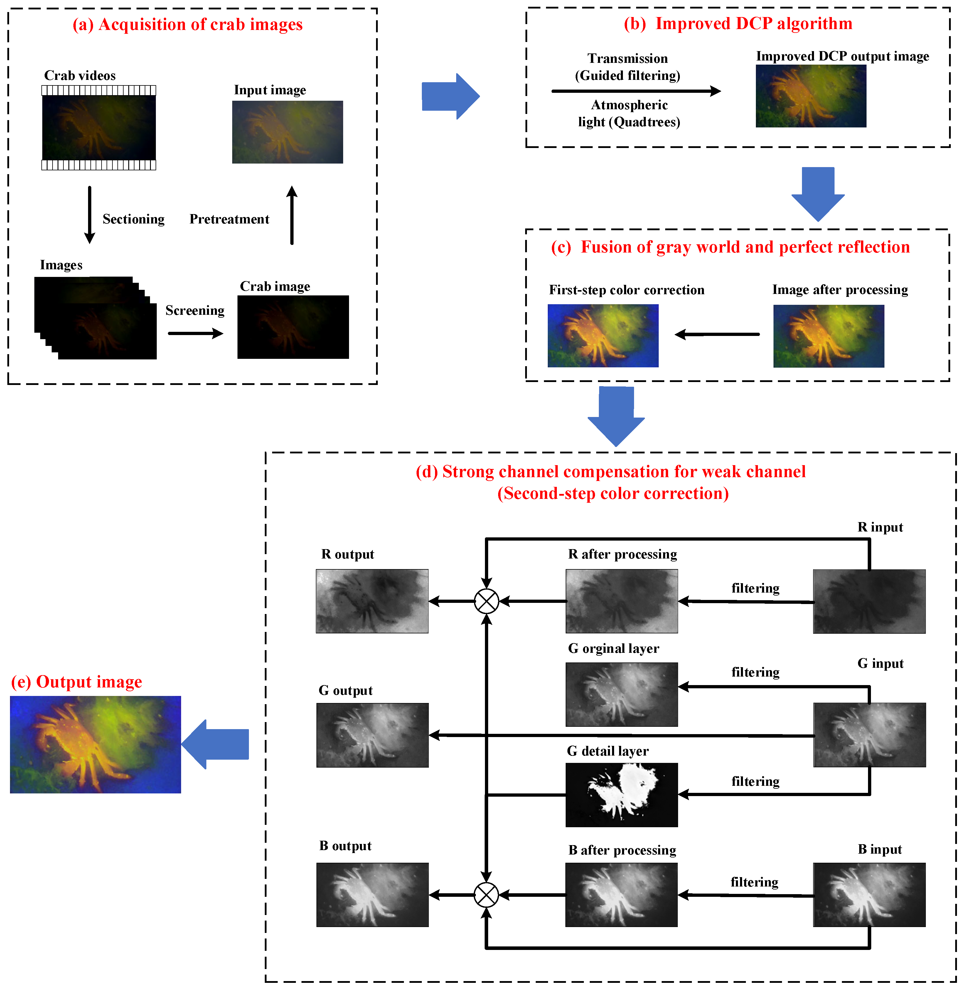 Fishes 09 00060 g003