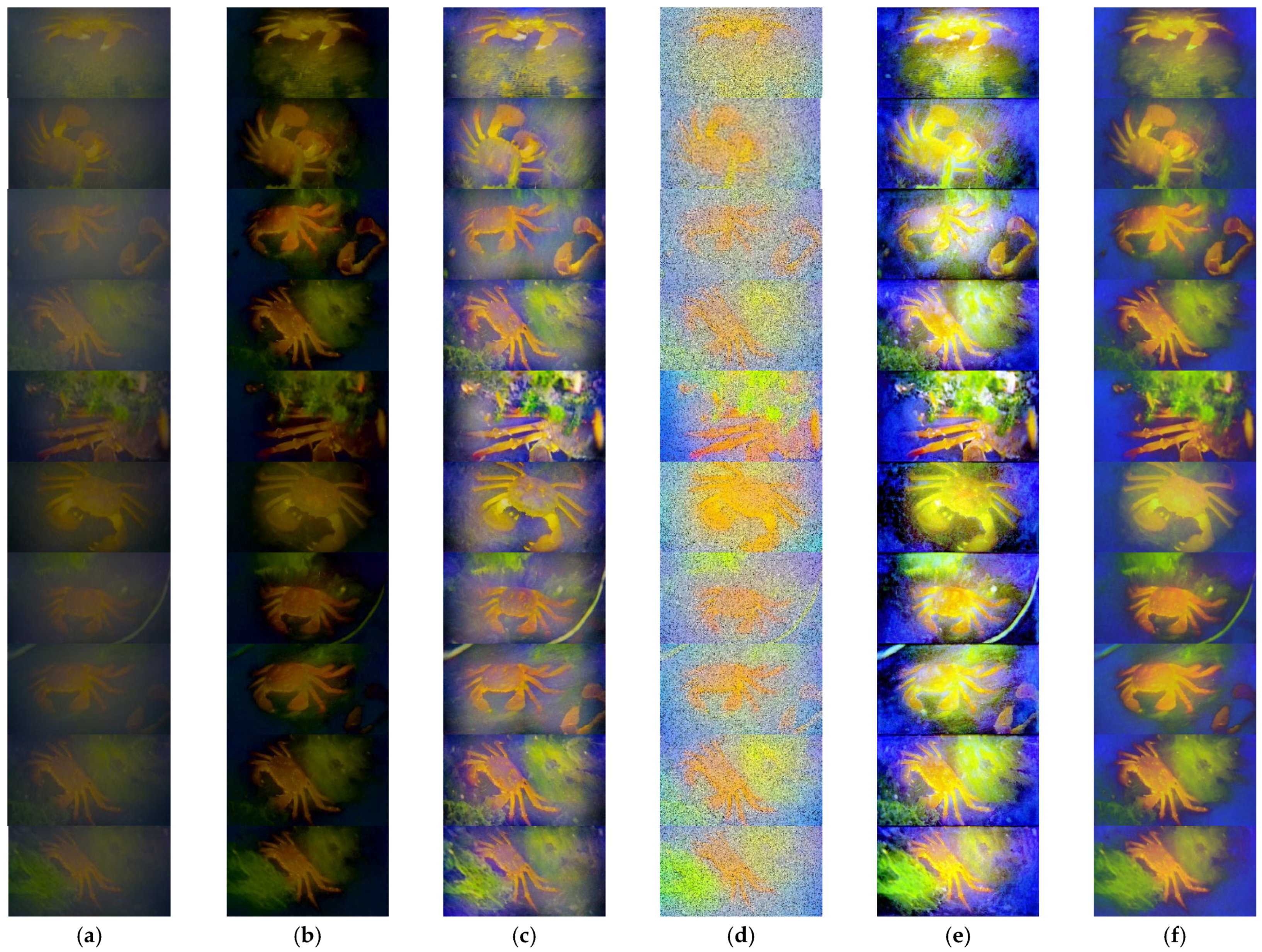 Fishes 09 00060 g005