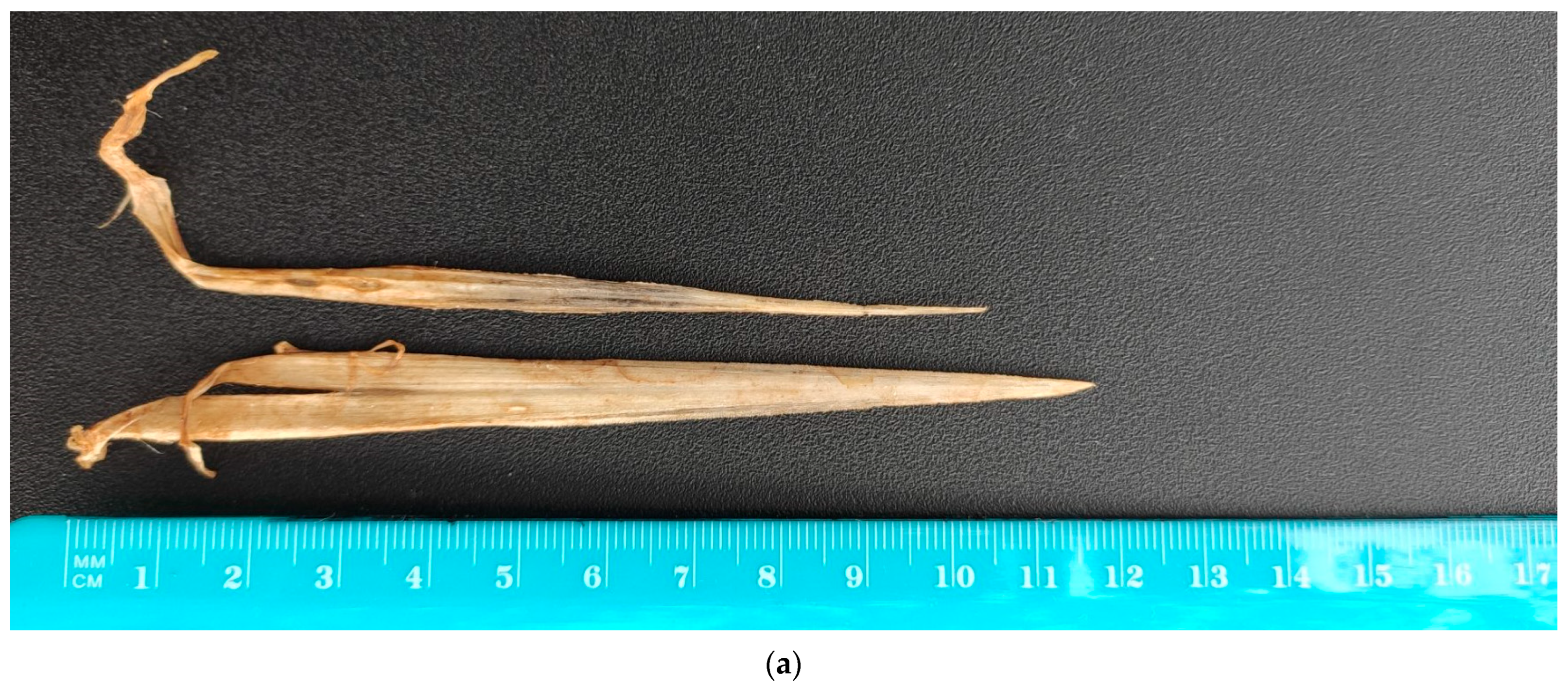 Fishes 09 00065 g001a