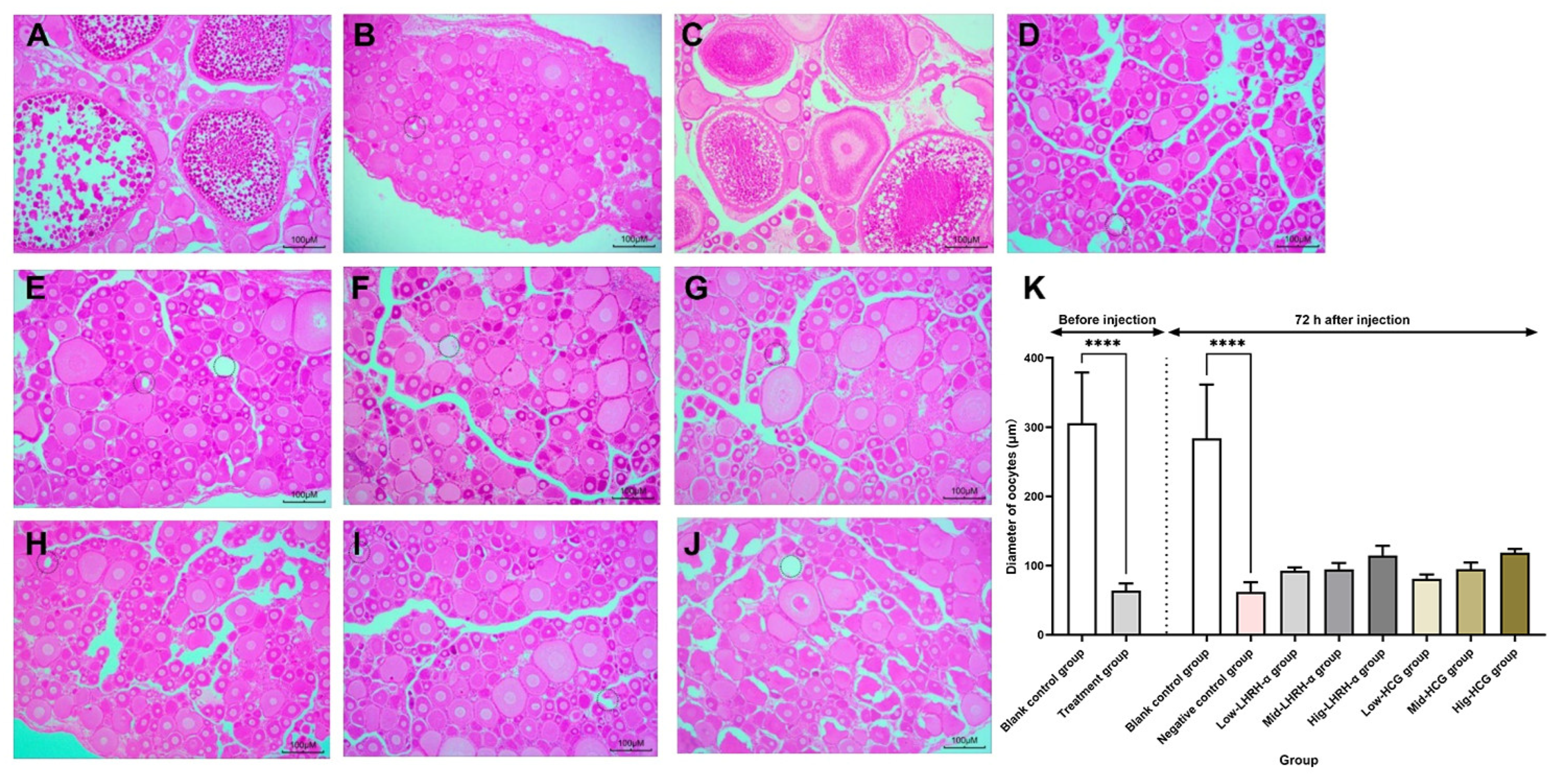 Fishes 09 00067 g003