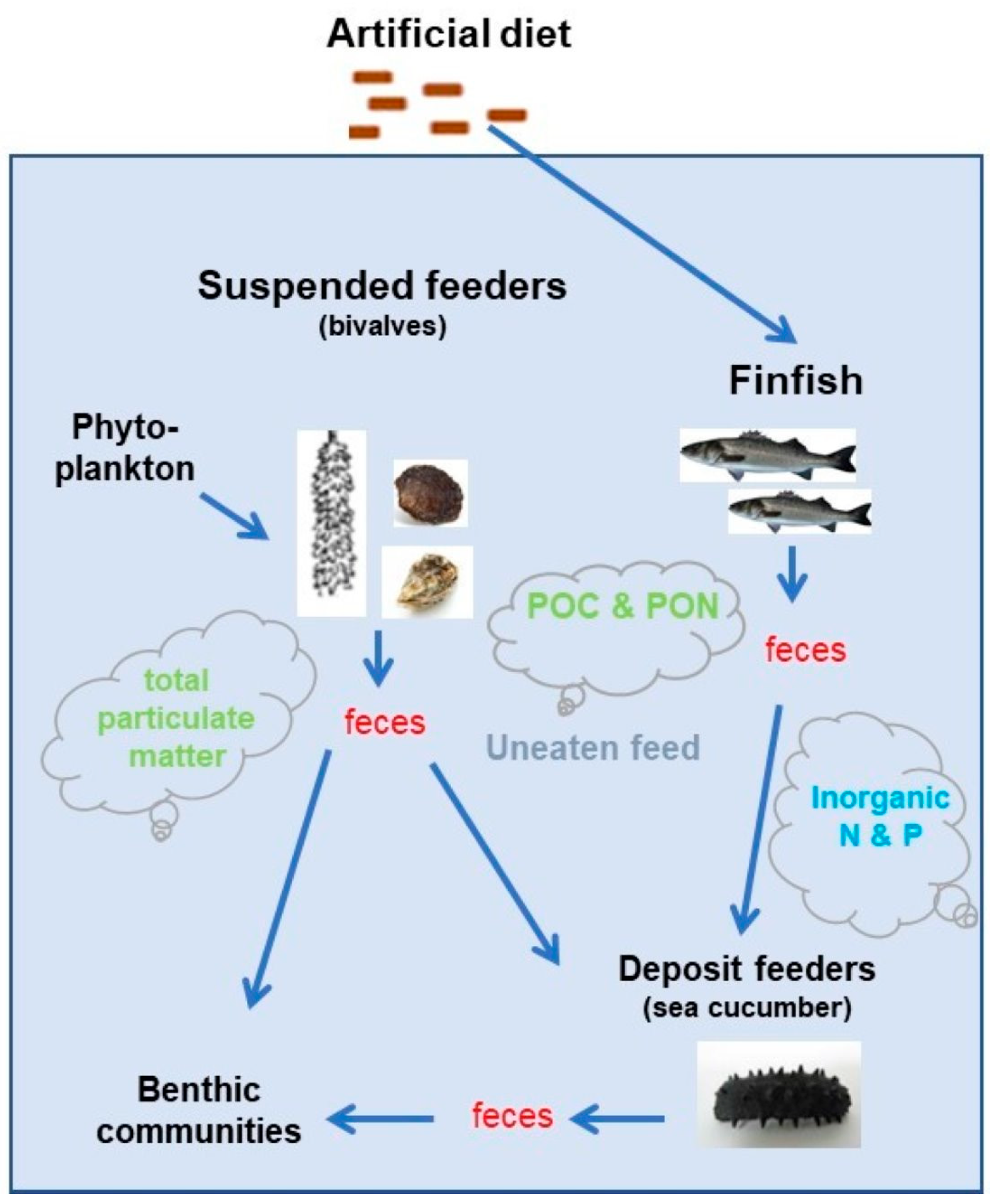 Fishes 09 00069 g001