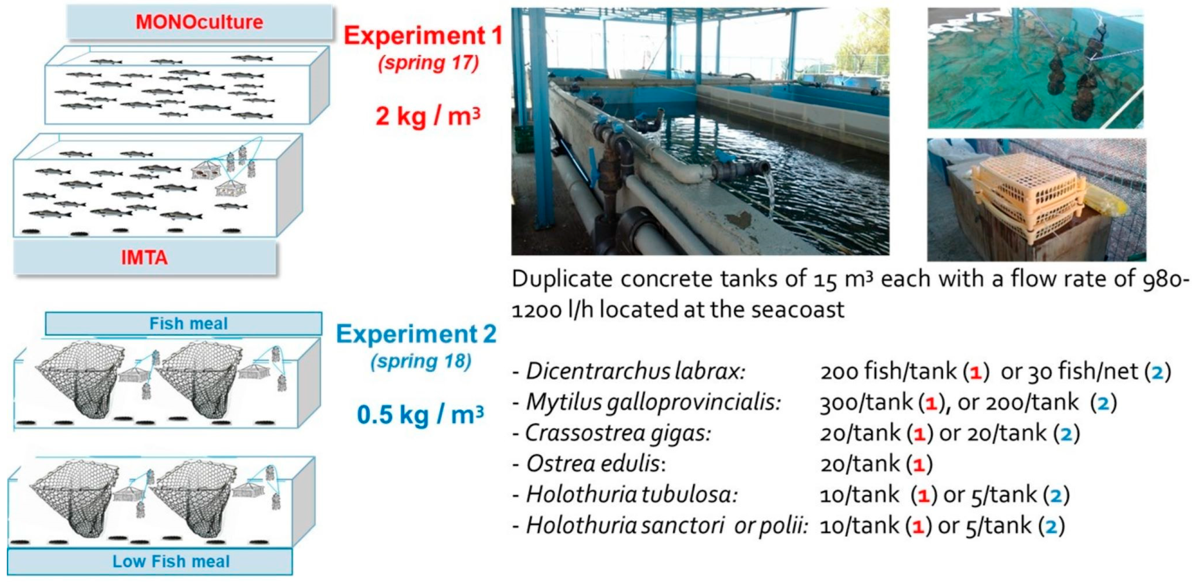 Fishes 09 00069 g002