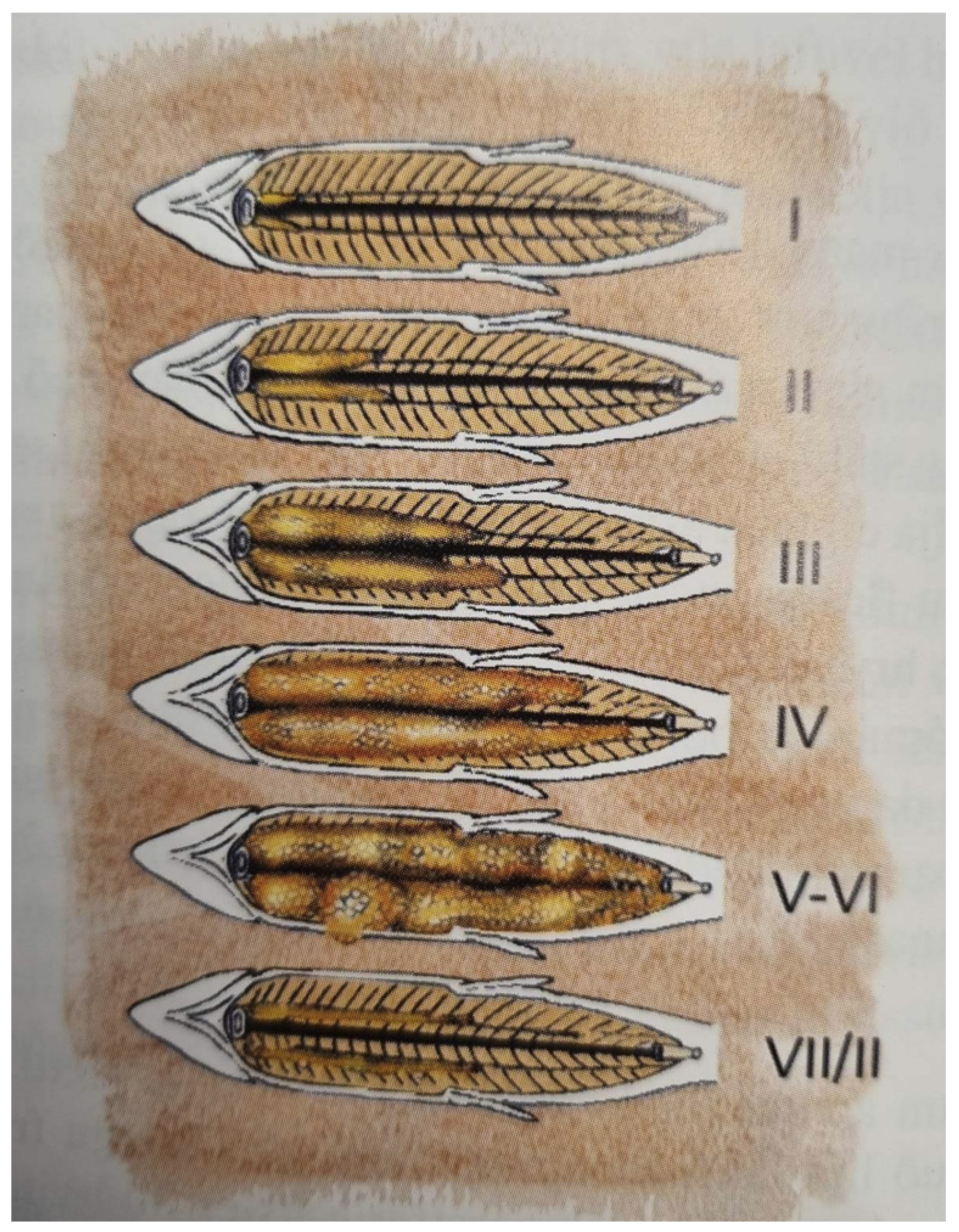 Fishes 09 00070 g001