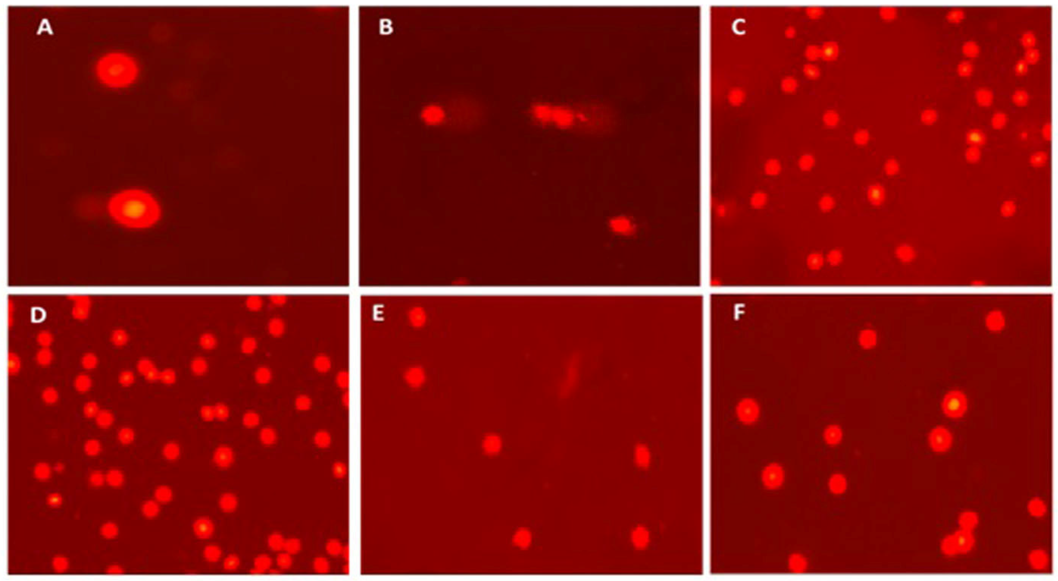 Fishes 09 00076 g002