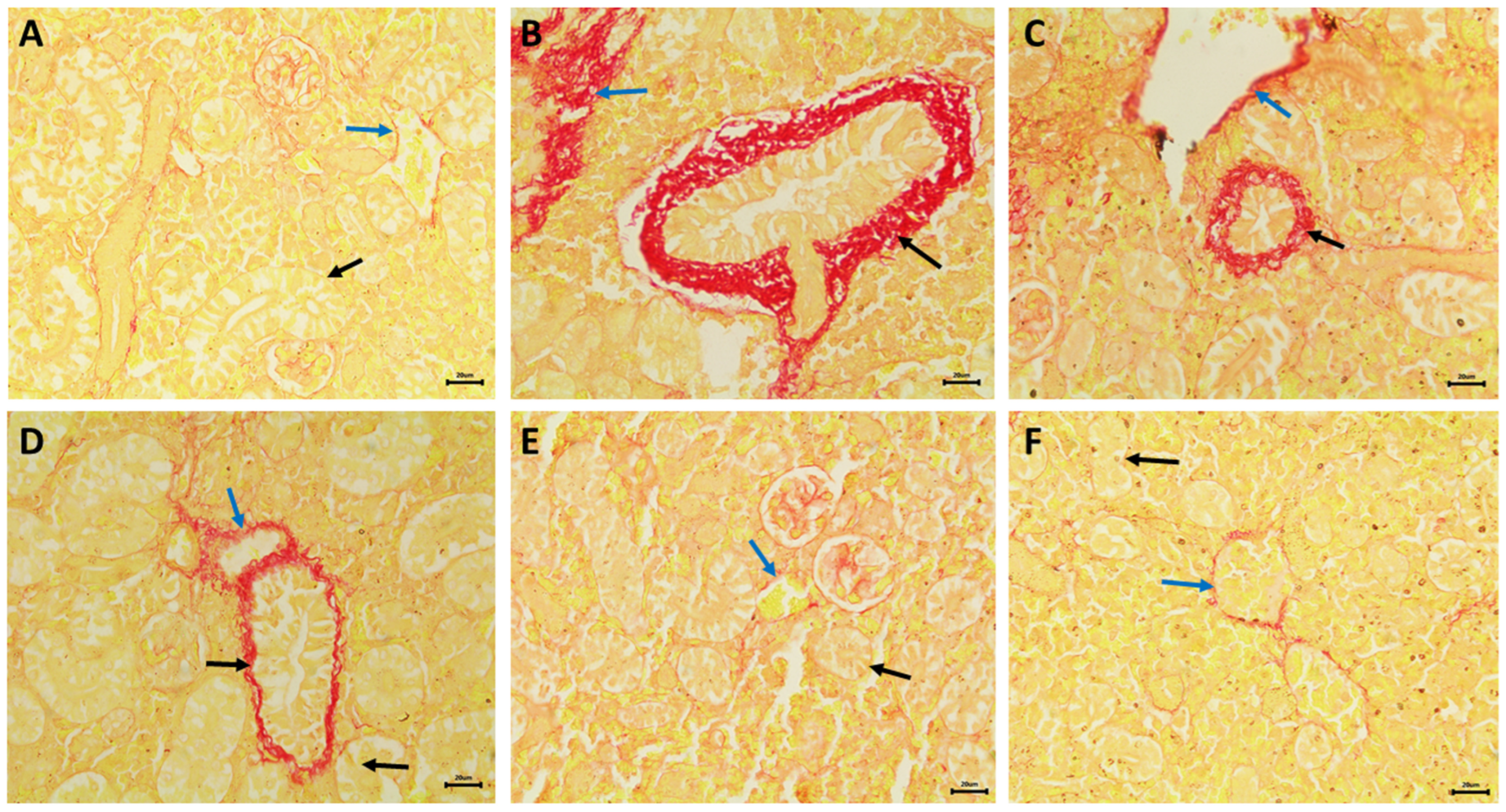 Fishes 09 00076 g008