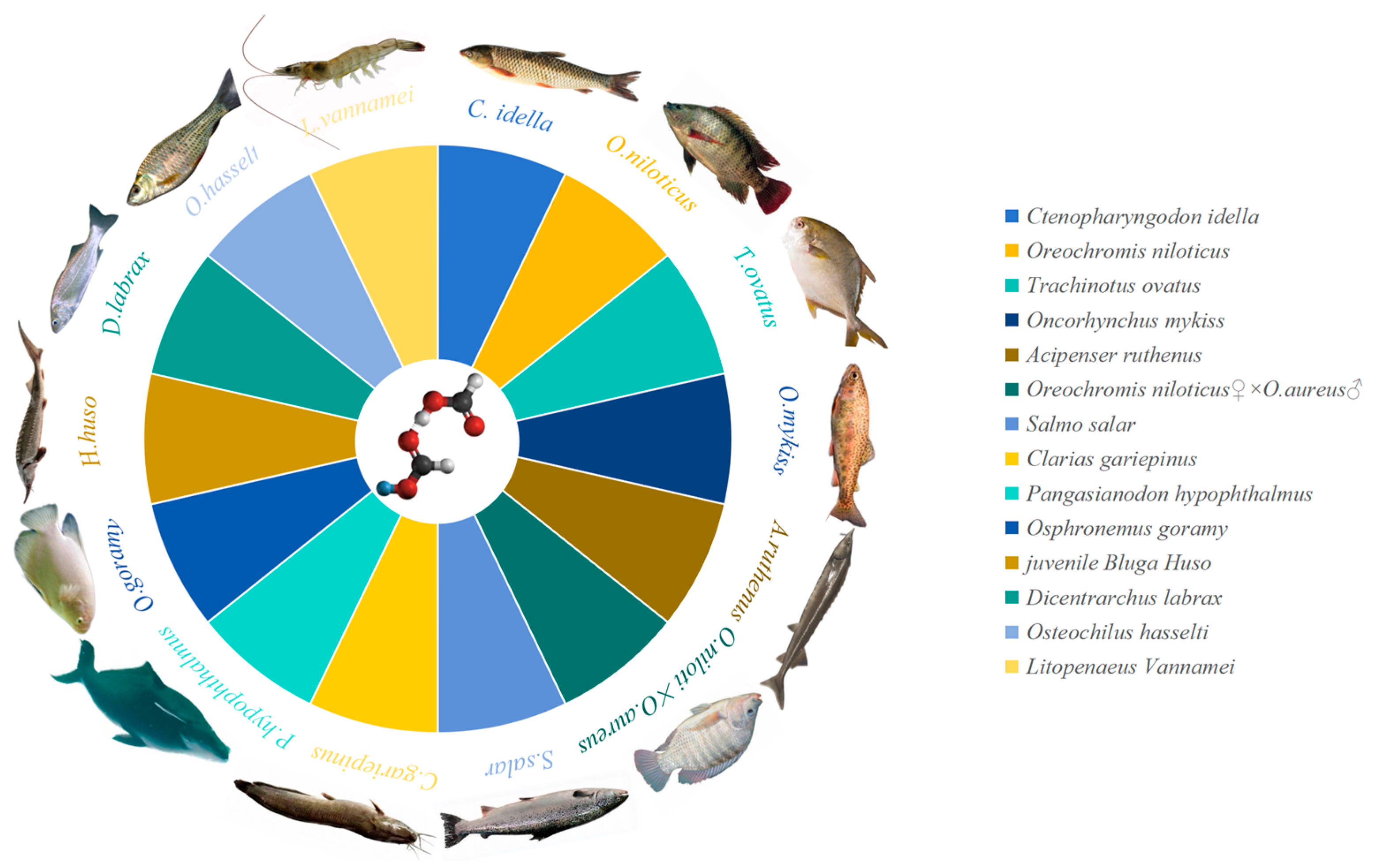 Fishes 09 00085 g002