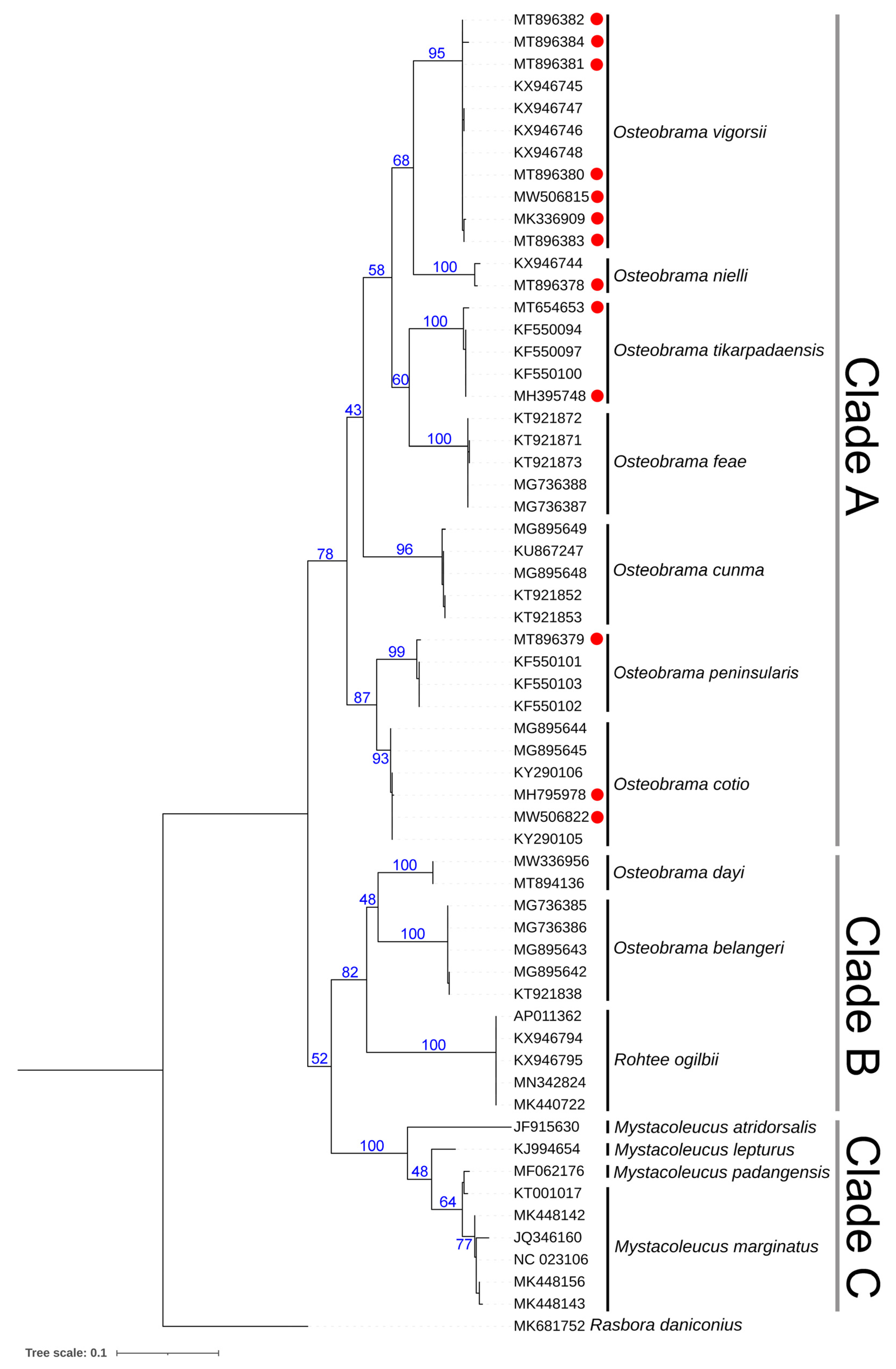 Fishes 09 00087 g004
