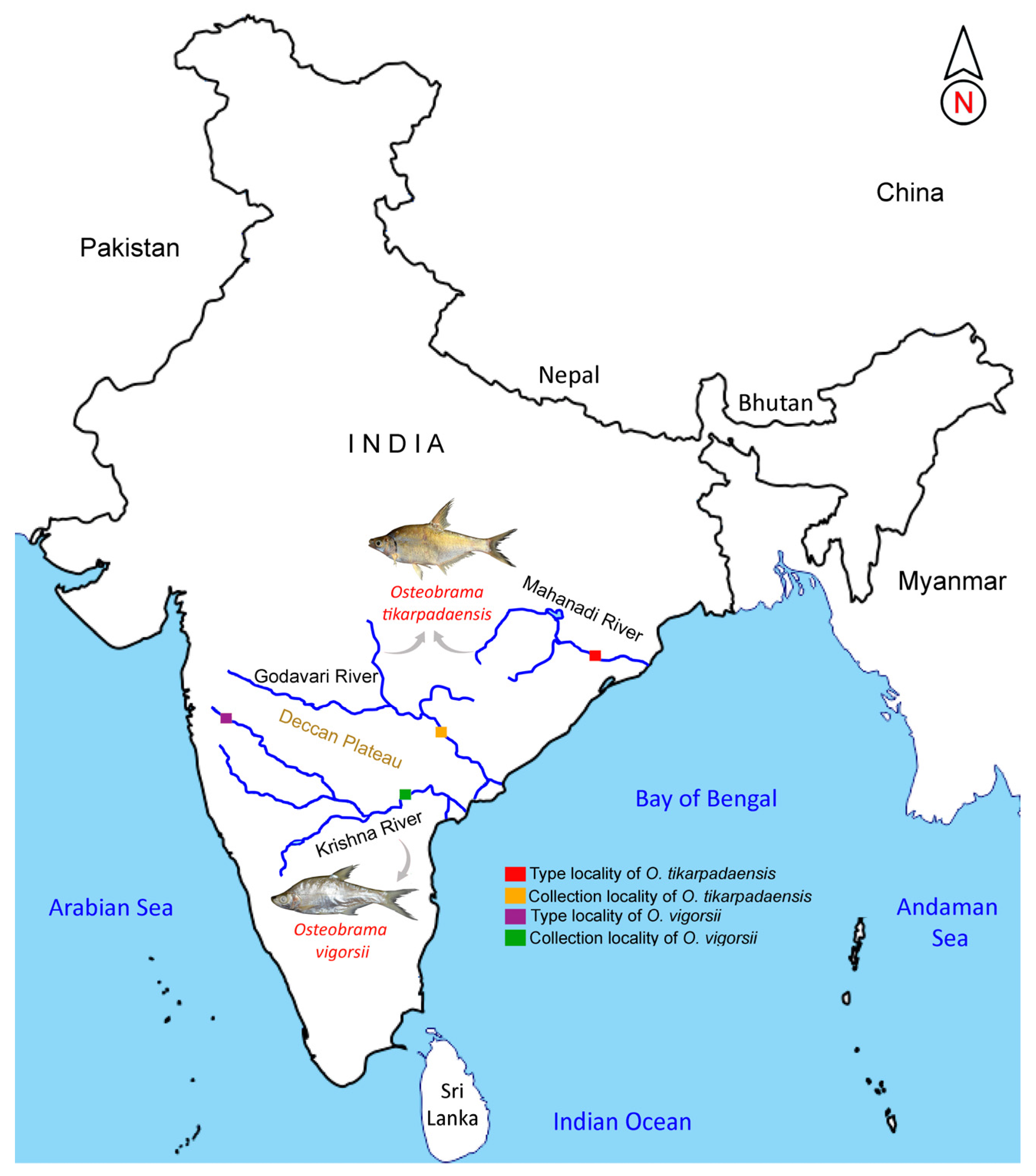 Fishes 09 00087 g005