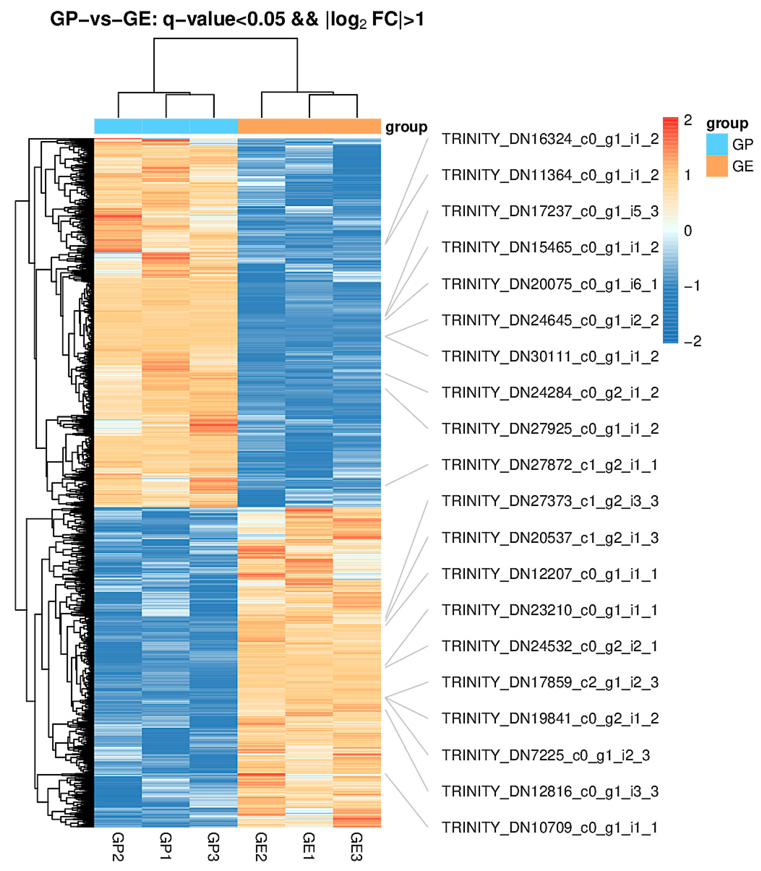 Molecular Mechanisms of Growth Differences in Gymnocypris