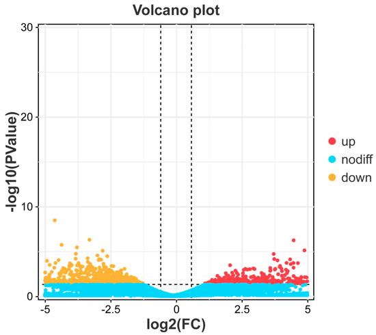 The Mechanism of Elizabethkingia miricola Infection of the