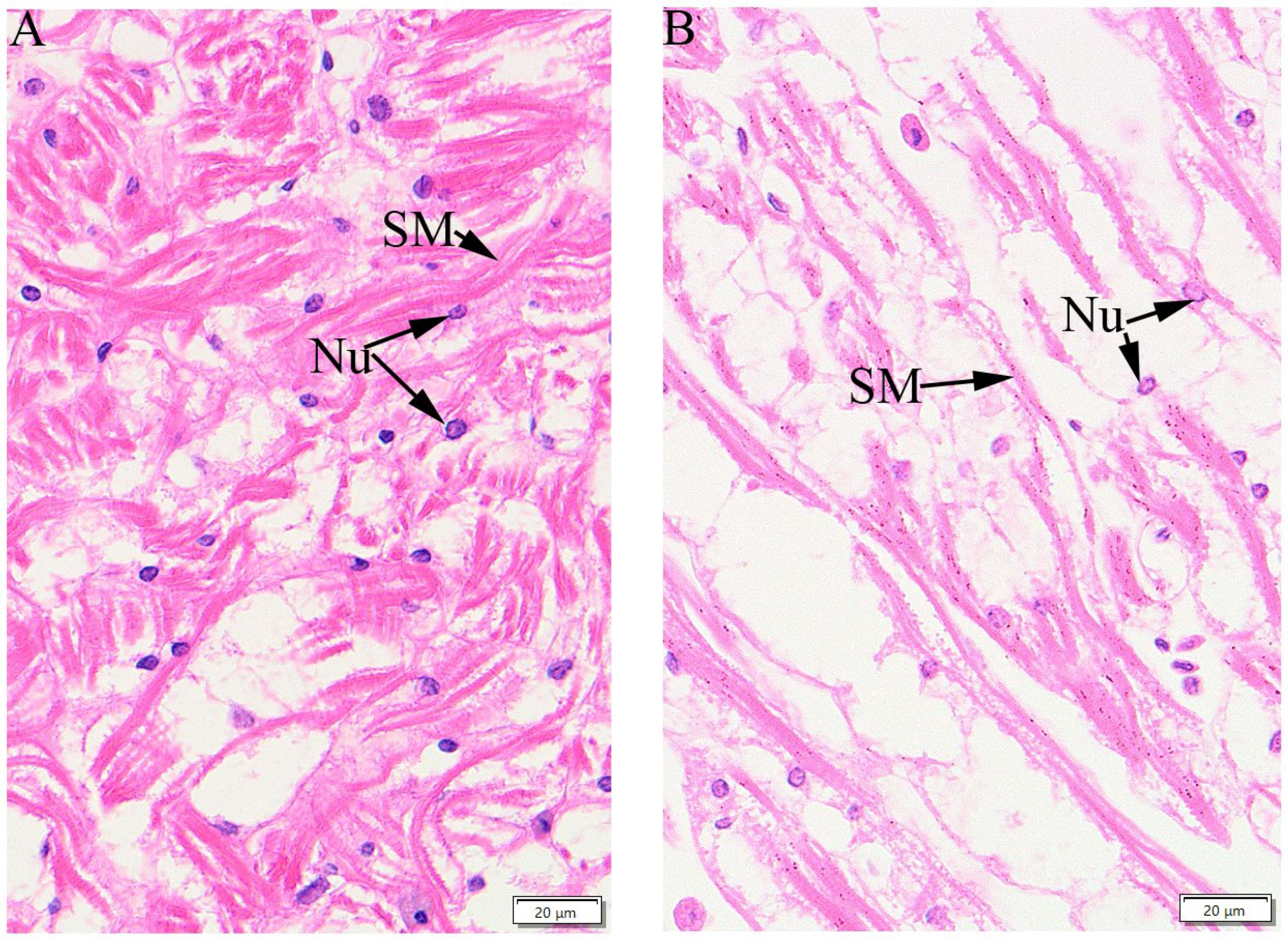 Fishes 09 00092 g008