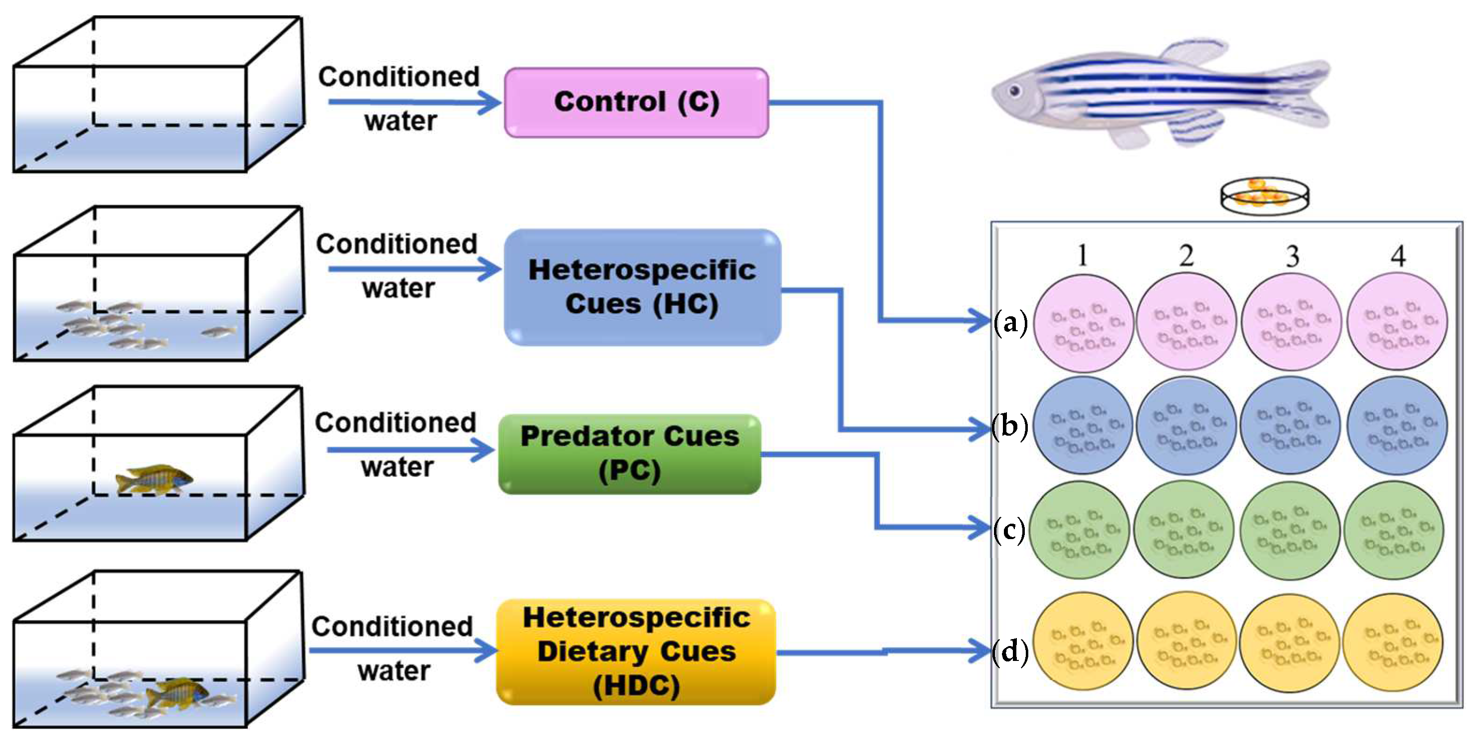 Fishes 09 00095 g001
