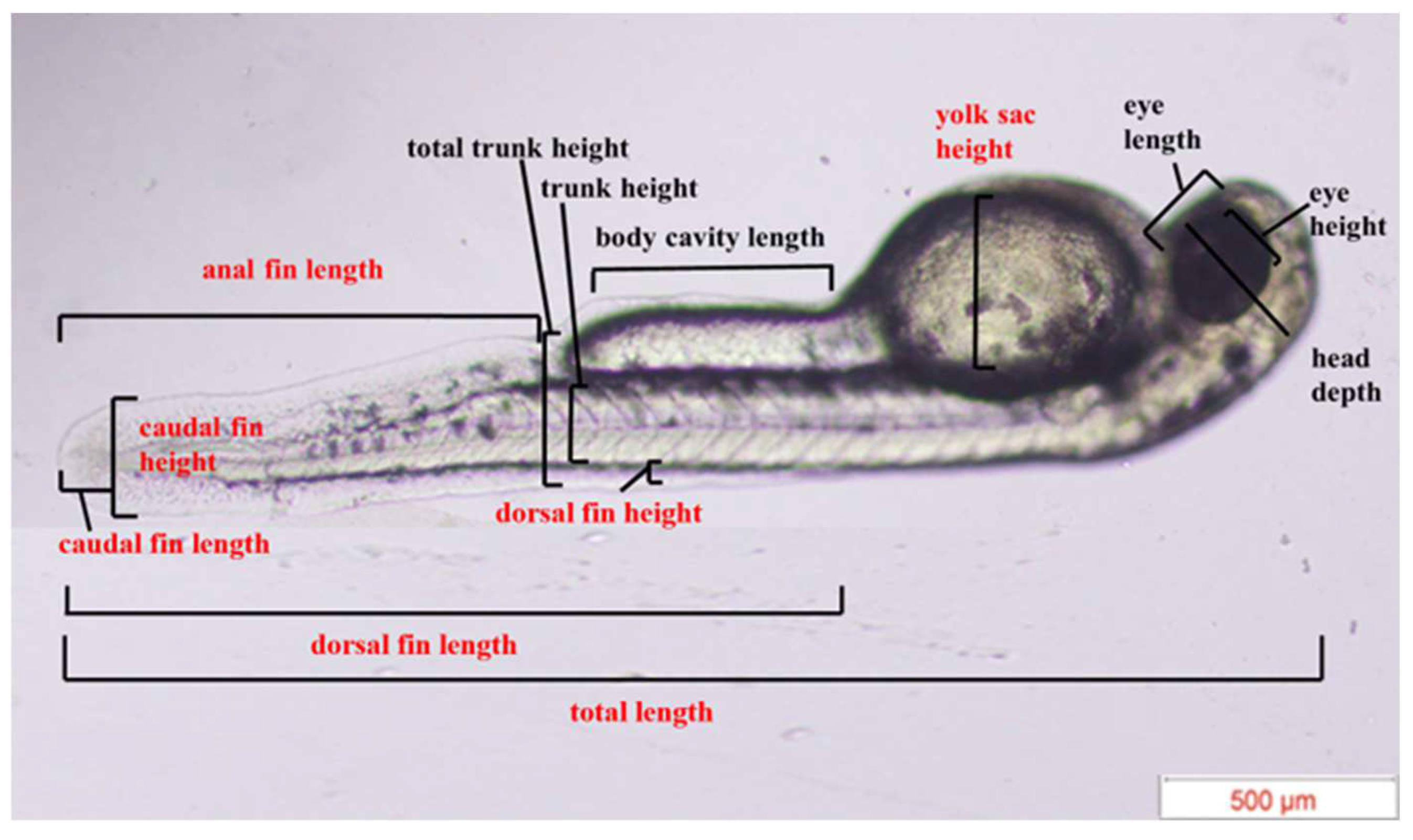 Fishes 09 00095 g002