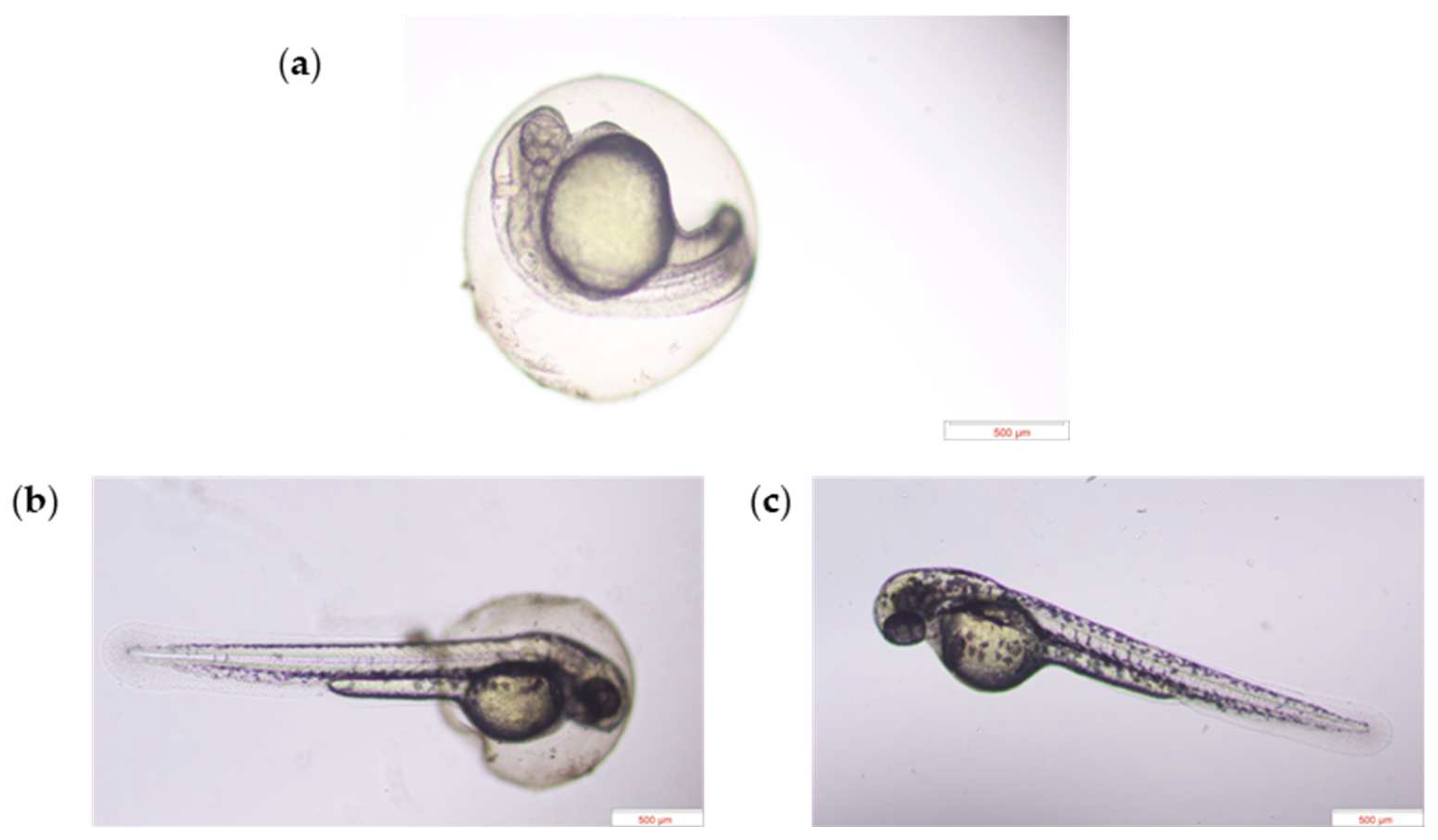 Fishes 09 00095 g004