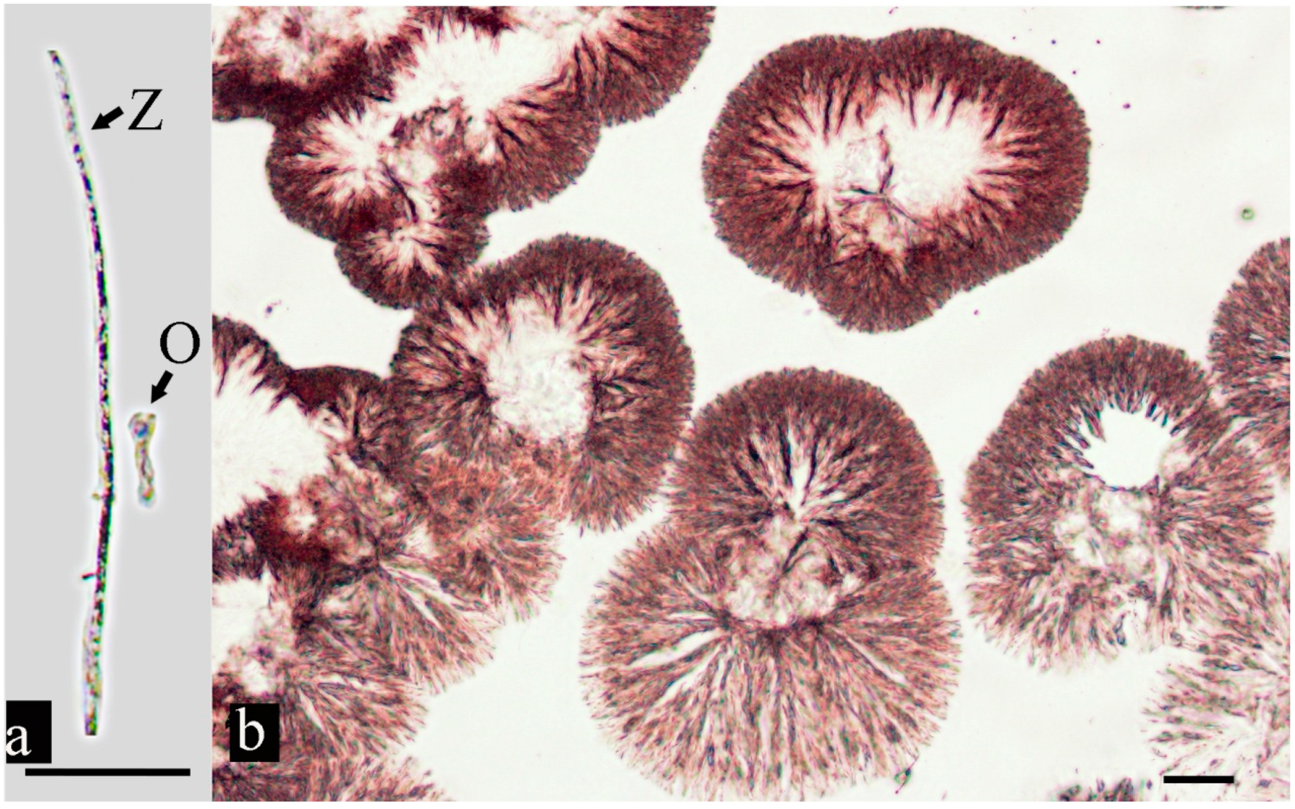 Fishes 09 00097 g004 Fishes 09 00097 g004