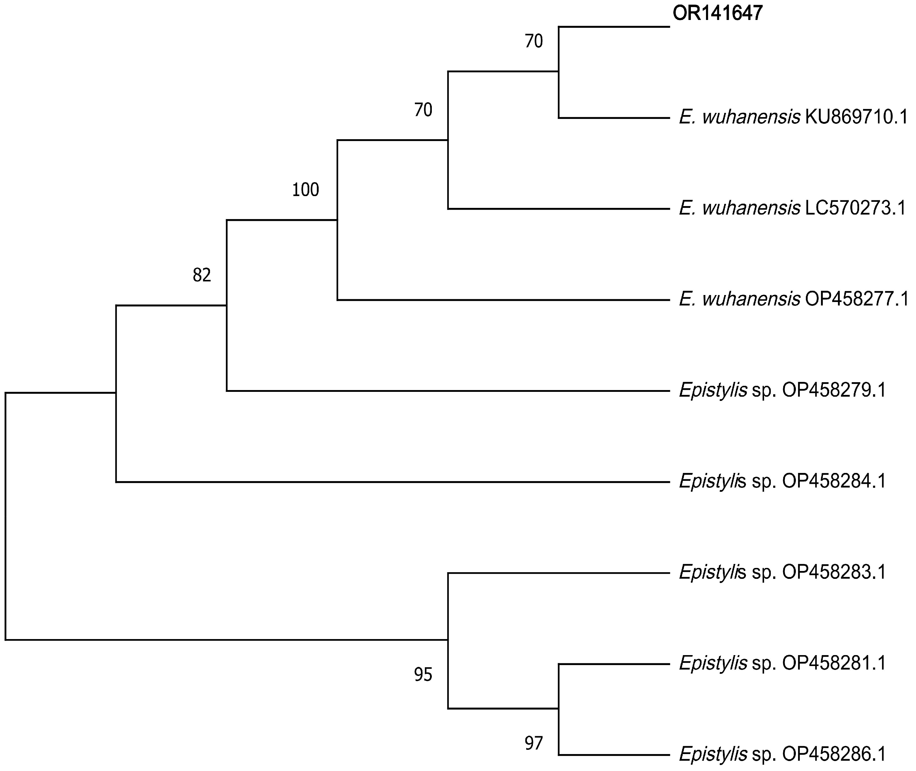 Fishes 09 00097 g006 Fishes 09 00097 g006
