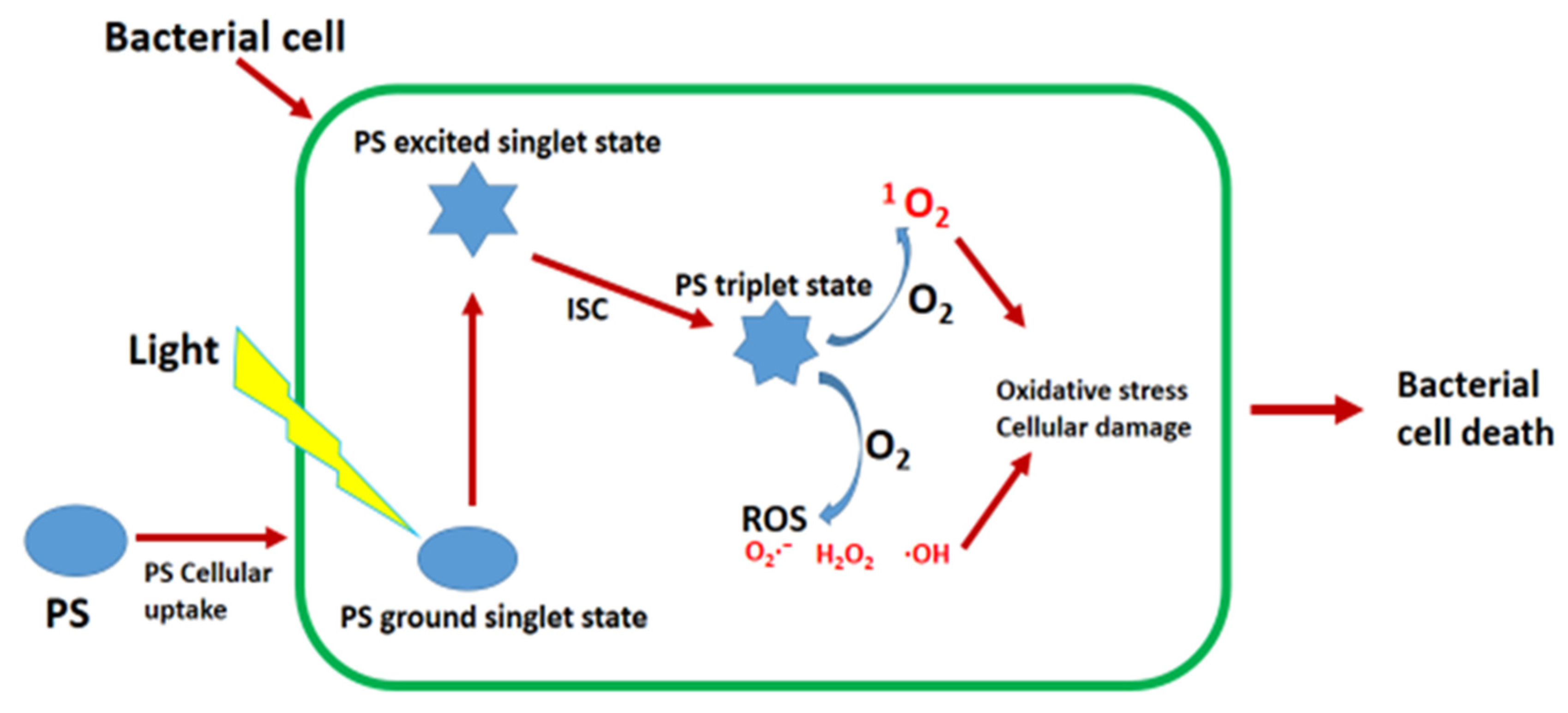 Fishes 09 00099 g001