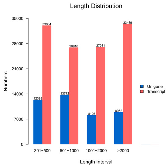 Transcriptome Analysis Revealed Potential Immune-Related