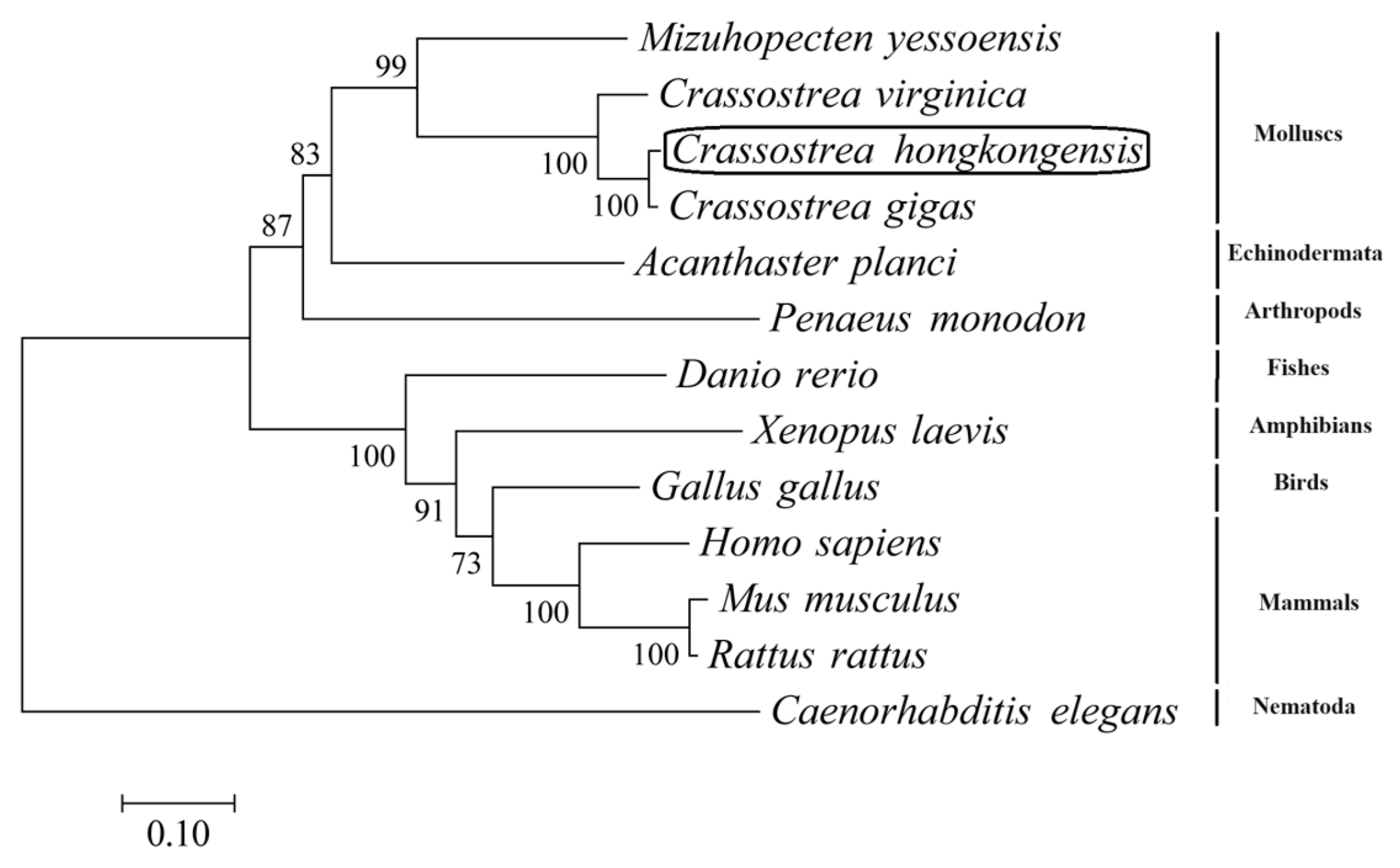 Fishes 09 00102 g001