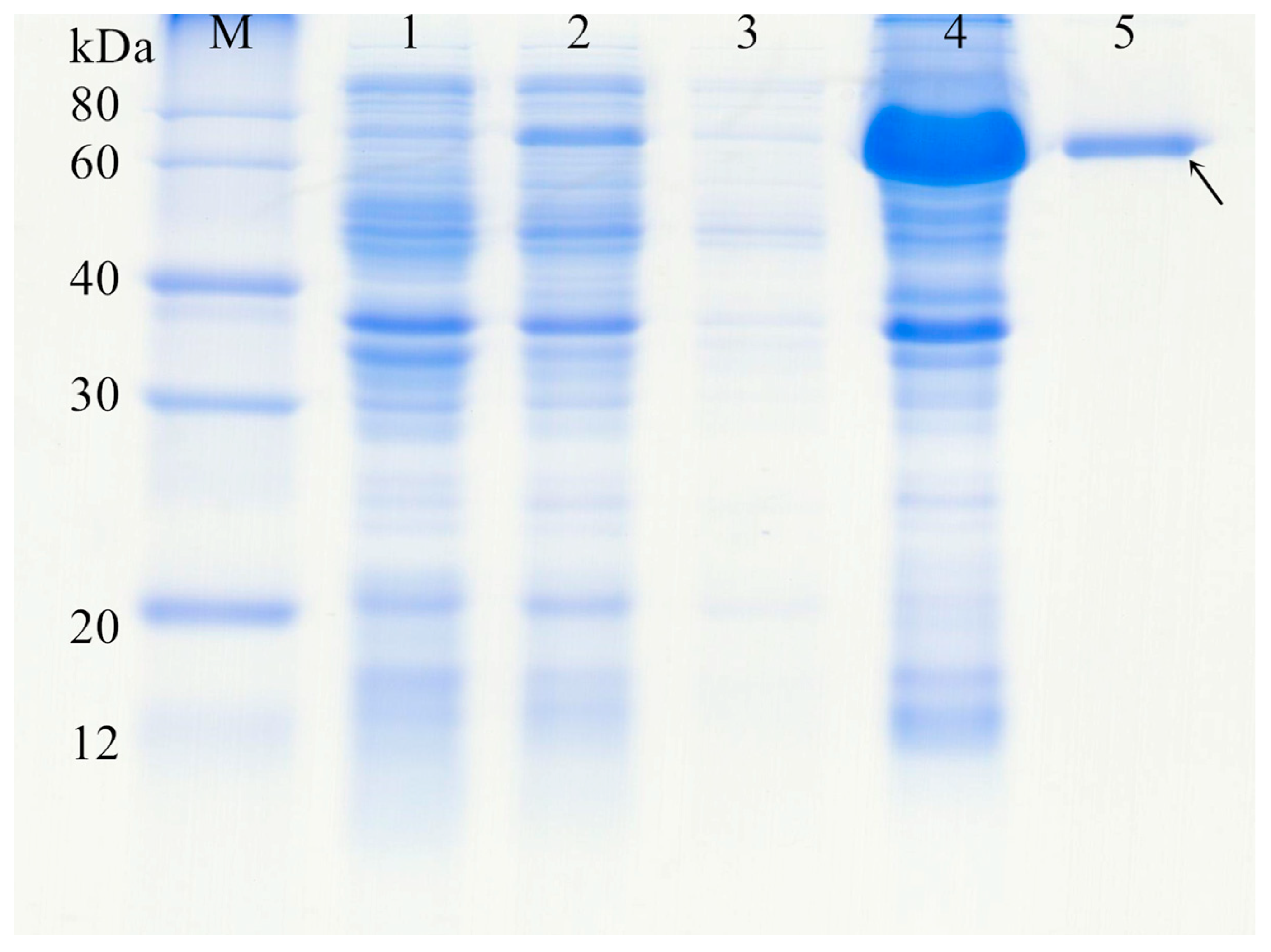 Fishes 09 00102 g004